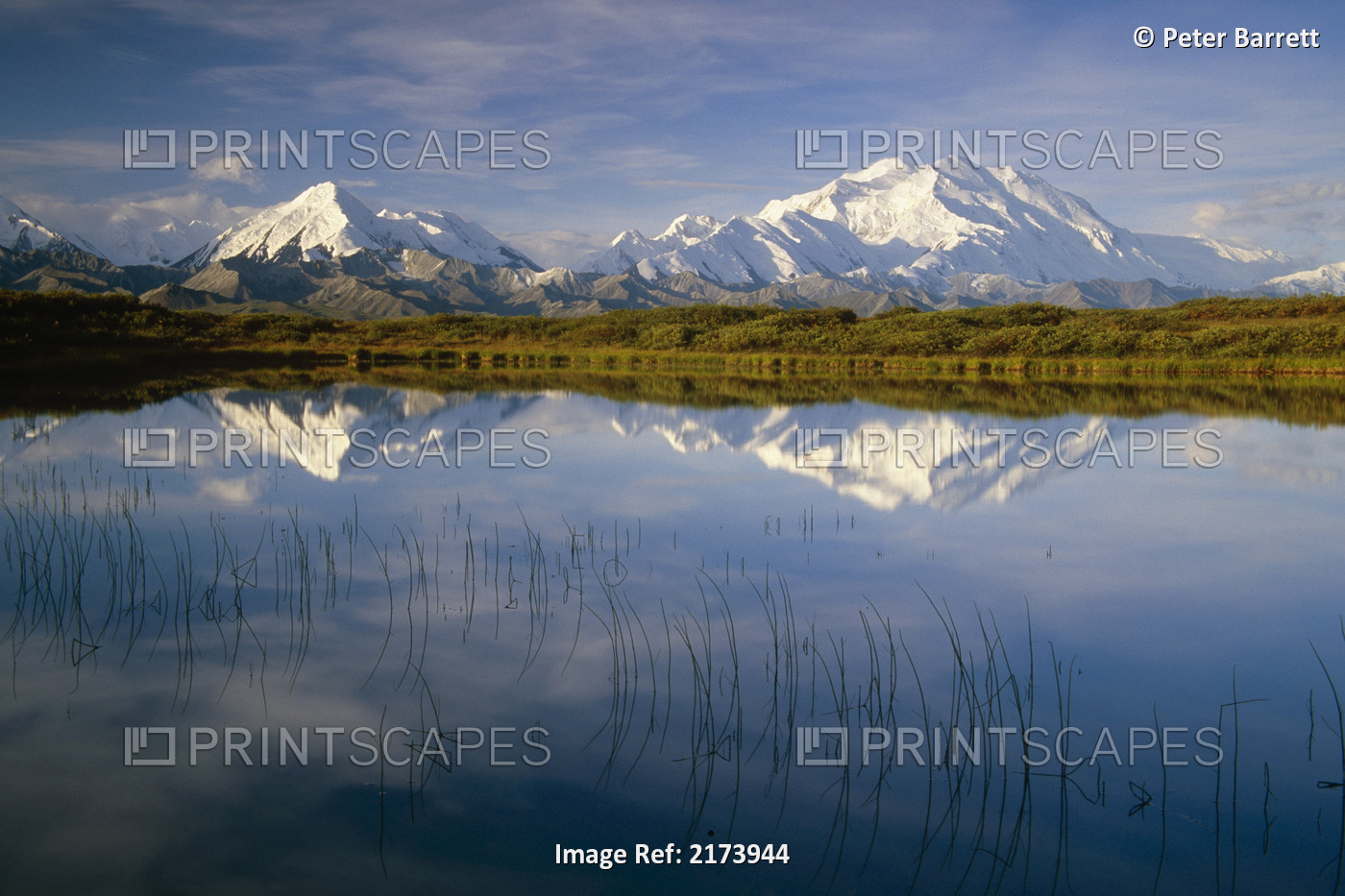 Mt Mckinley & Ak Range Reflecting In Tundra Pond In The Fall, Denali Np, ...
