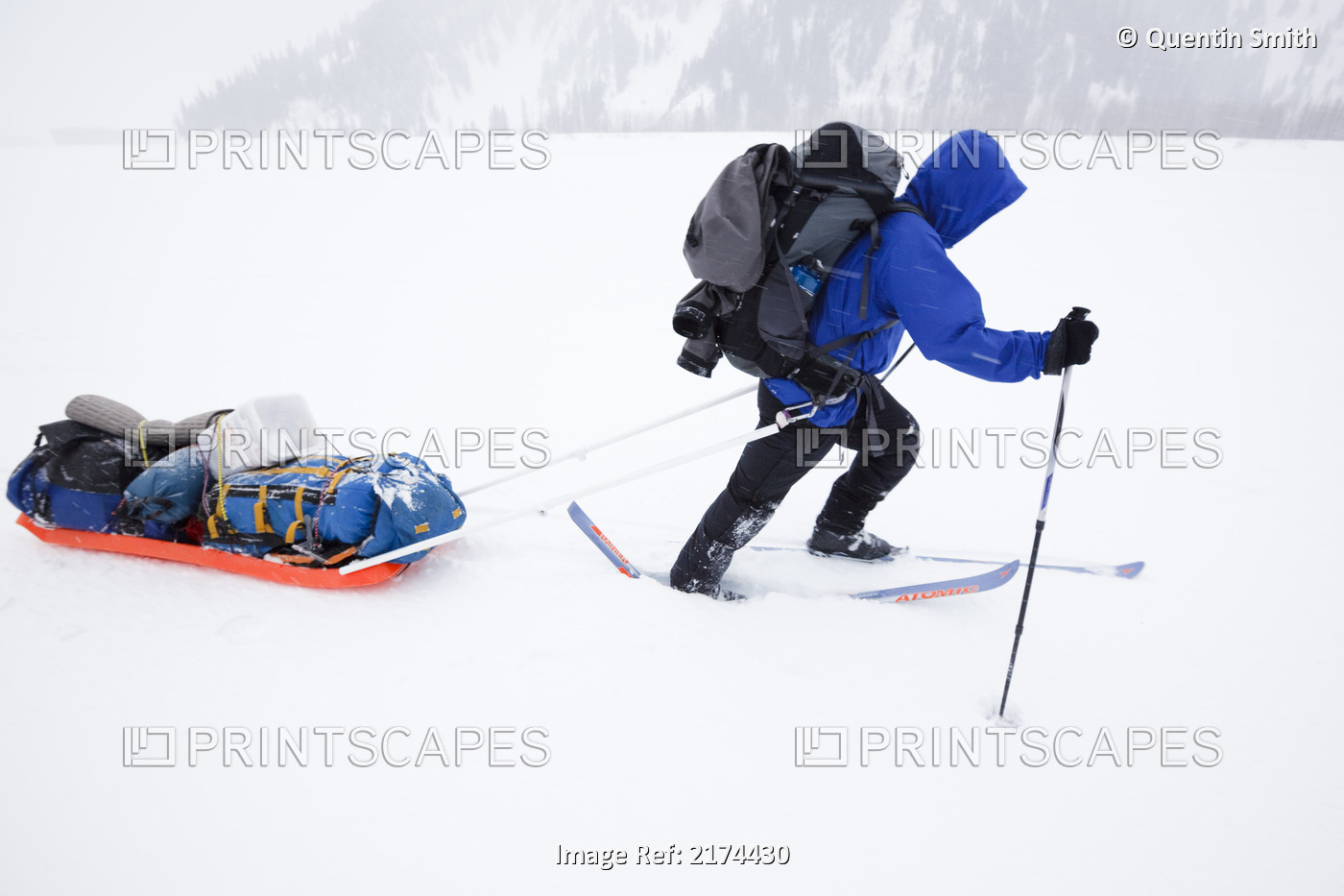 A Man Struggles To Pull A Grear Laden Sled Over Wind Blown Snow On The Stikine ...