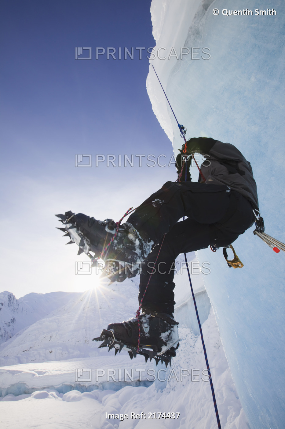 A Man Climbs A Rope Anchored On The Top Of Shakes Glacier, Stikine-Leconte ...