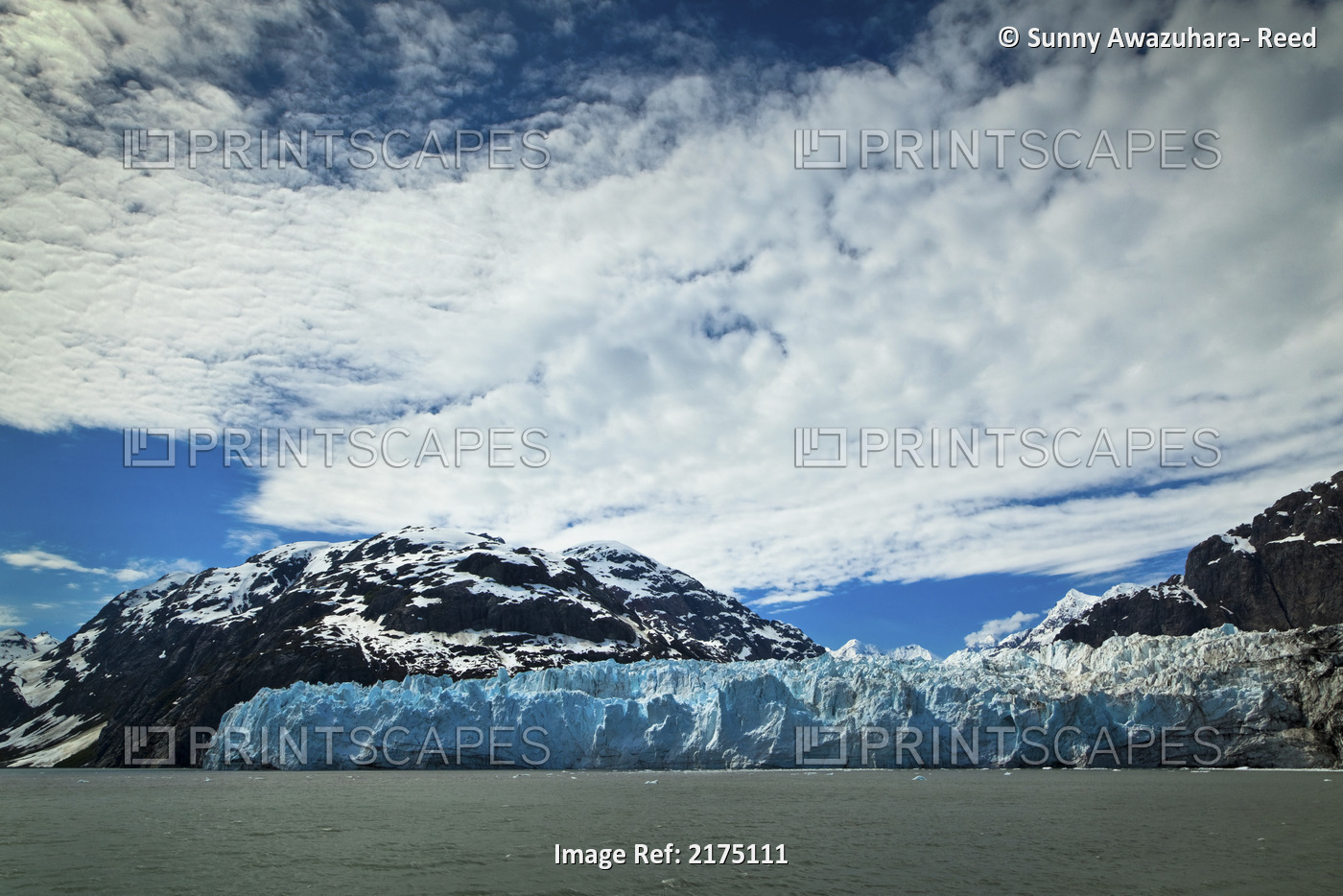 Scenic View Of Margerie Glacier In Tarr Inlet, Glacier Bay National Park & ...