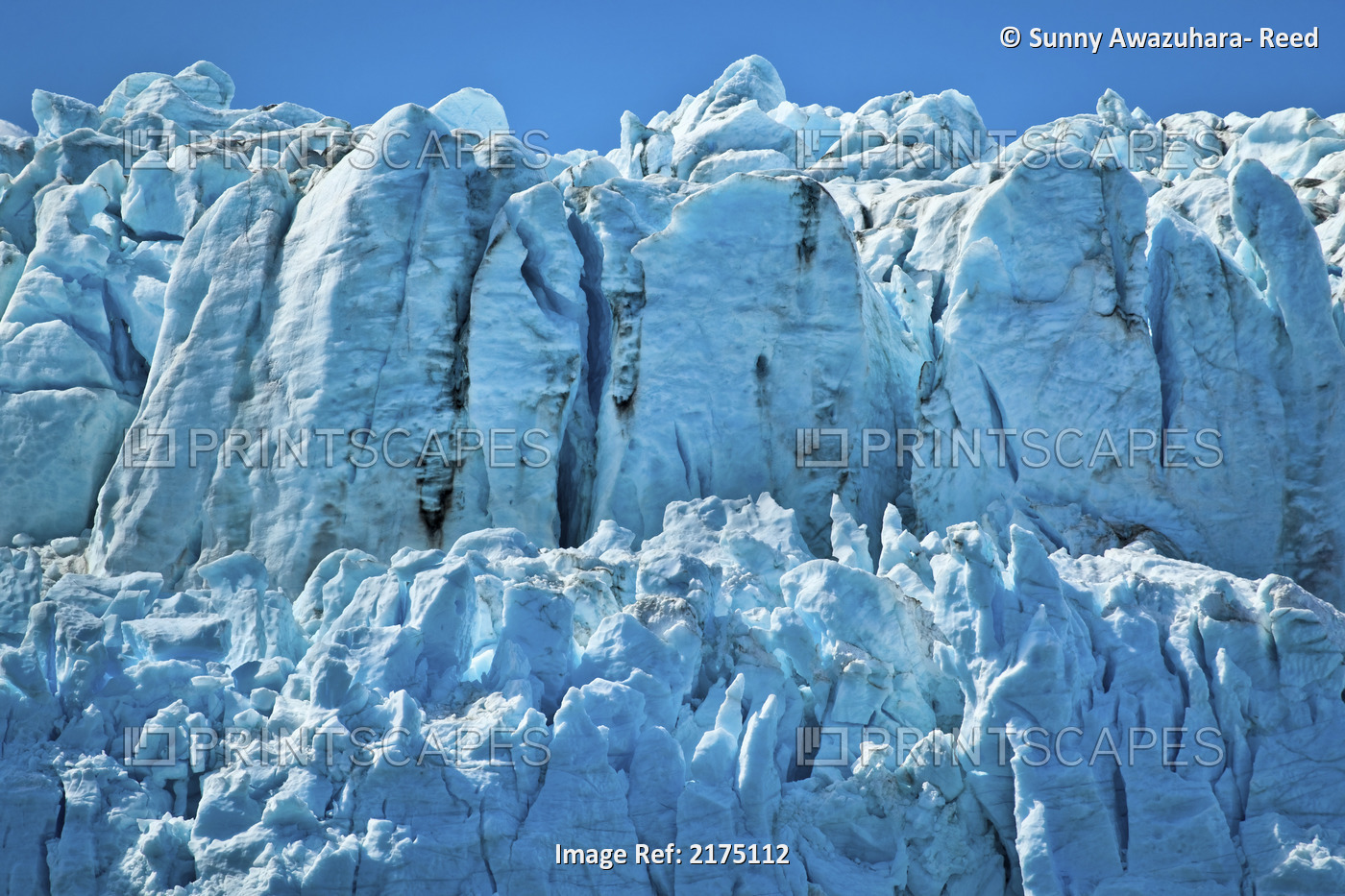 Close Up Of Margerie Glacier In Tarr Inlet, Glacier Bay National Park & ...