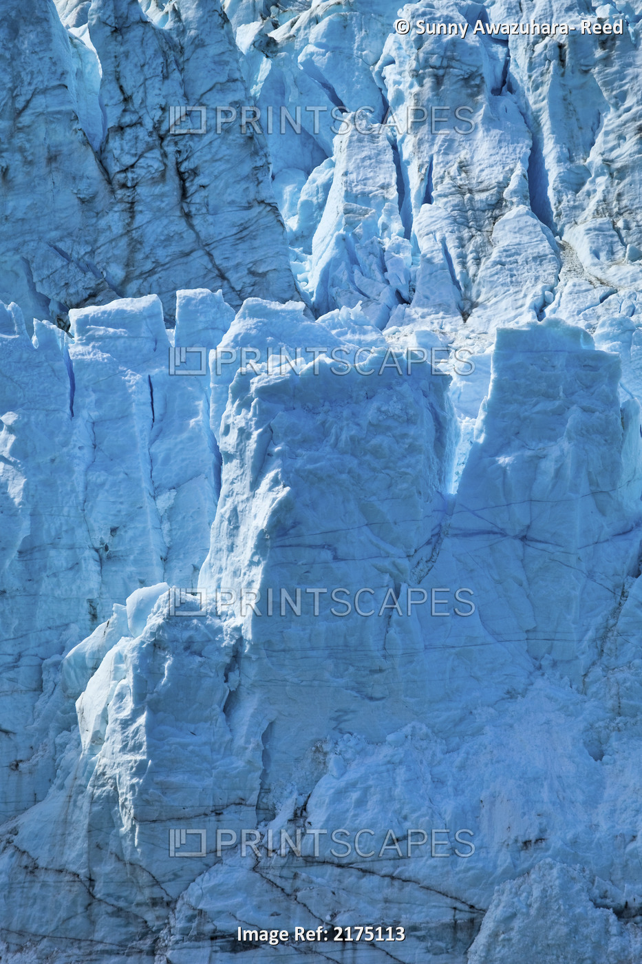 Close Up Of Margerie Glacier In Tarr Inlet, Glacier Bay National Park & ...