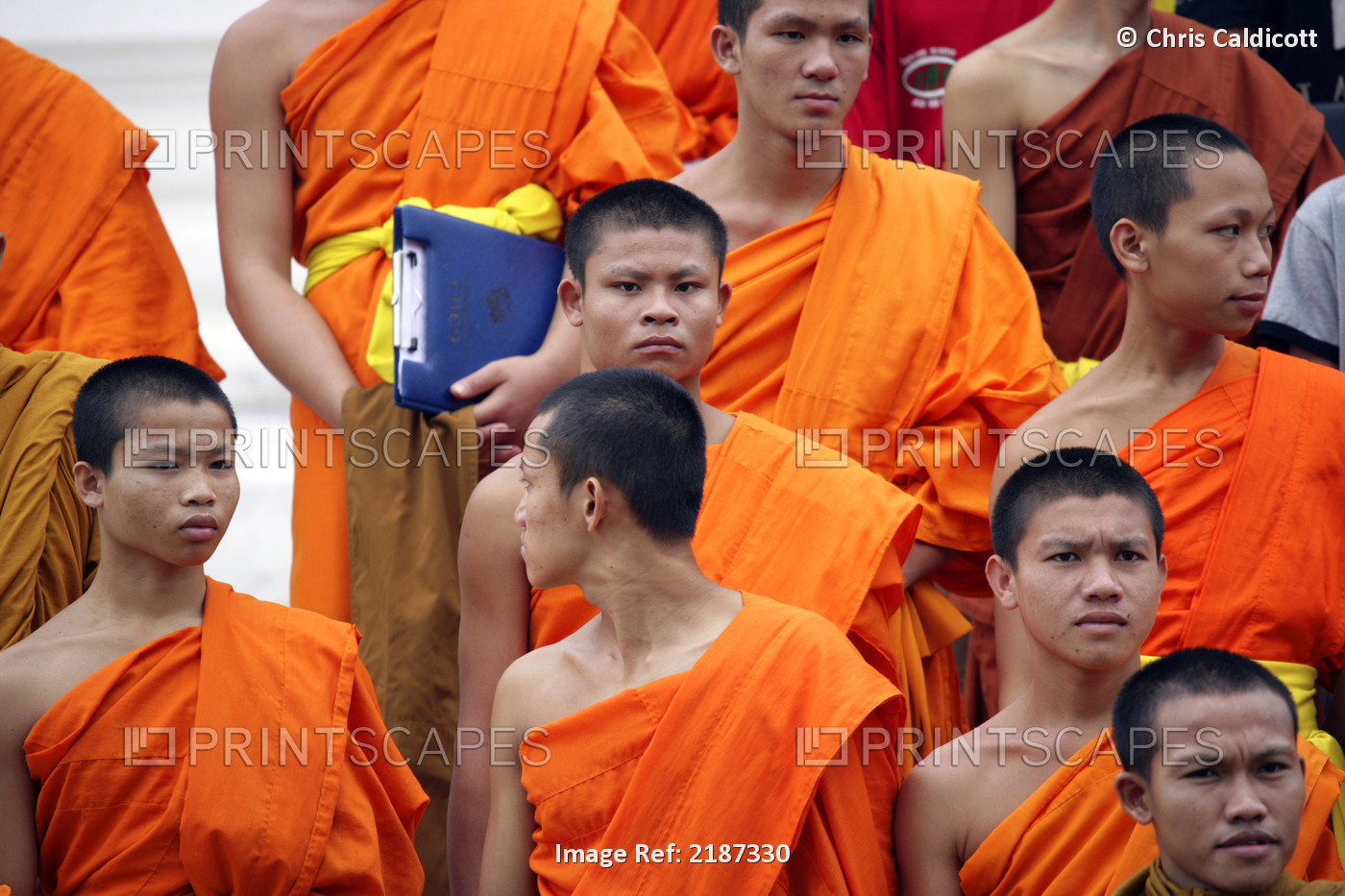 Buddhist Monks In A Temple Wat; Luang Prabang, Laos