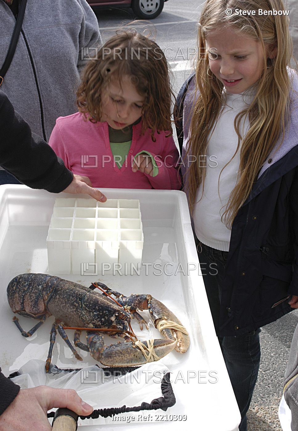 National Lobster Hatchery - Padstow Cornwall