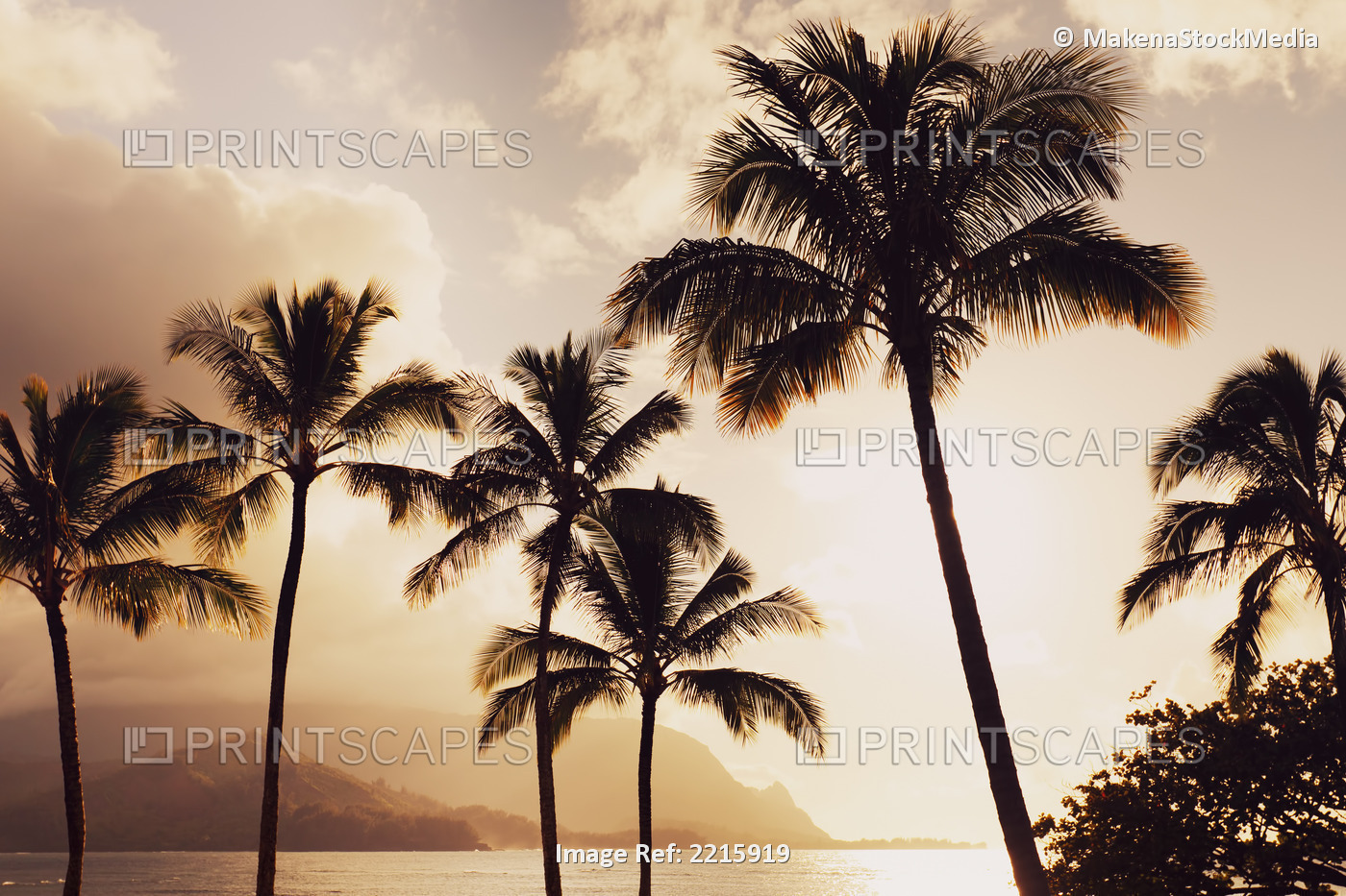 Hawaii, Kauai, Hanalei Bay, Palm trees at sunset.