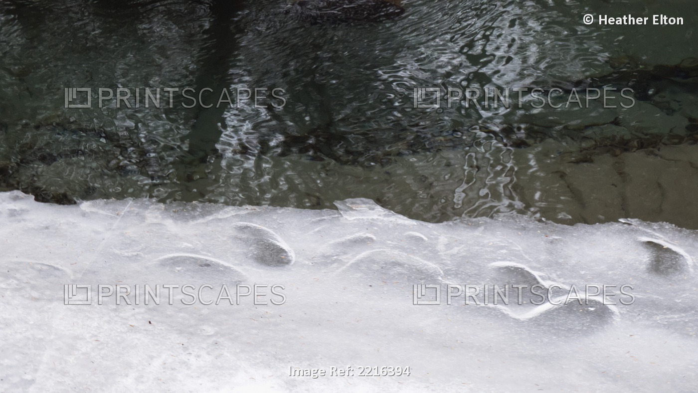 Winter Scene From The Fenlands In Banff, Alberta, Canada