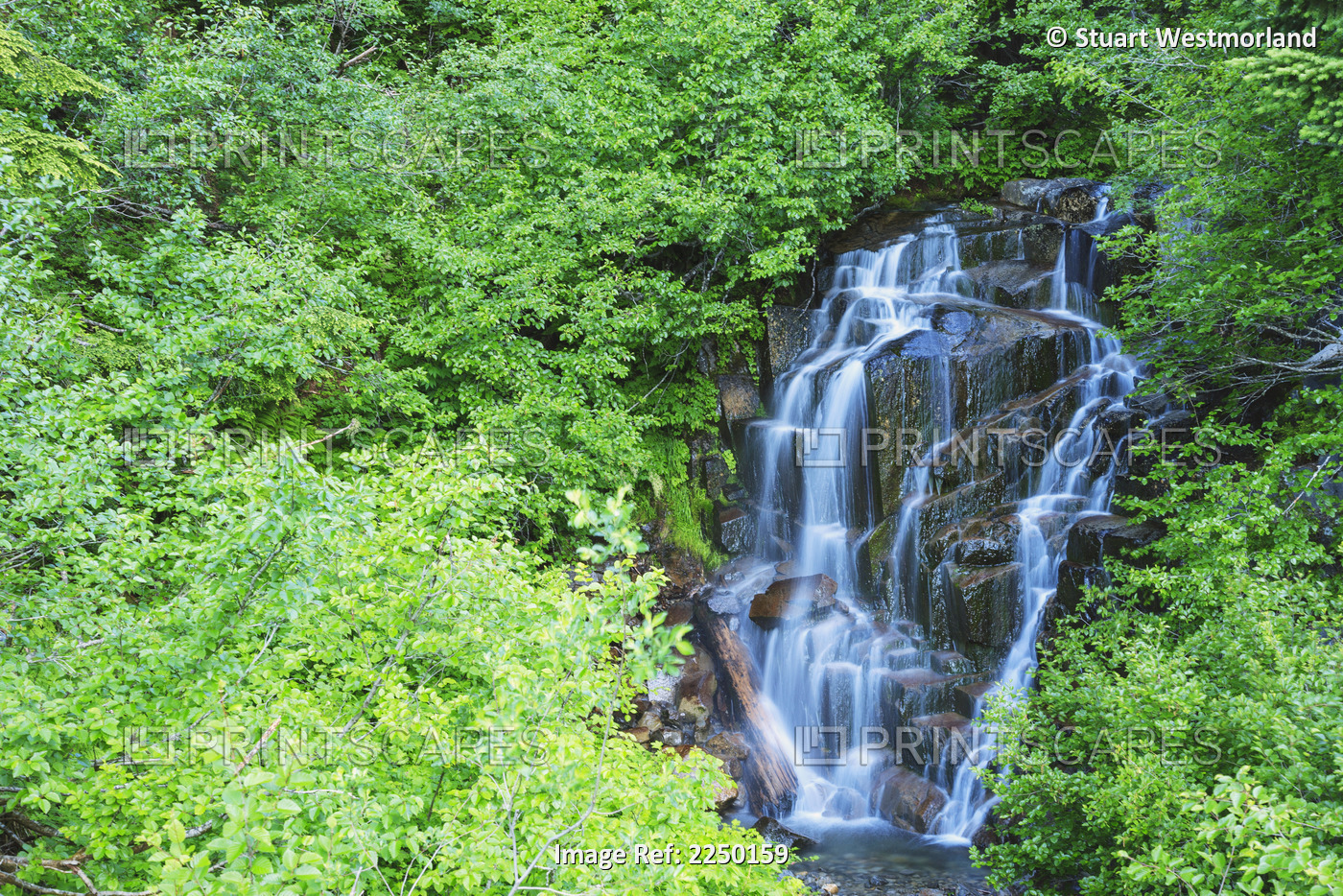 Stevens creek waterfall mount rainer national park near seattle;Washington ...