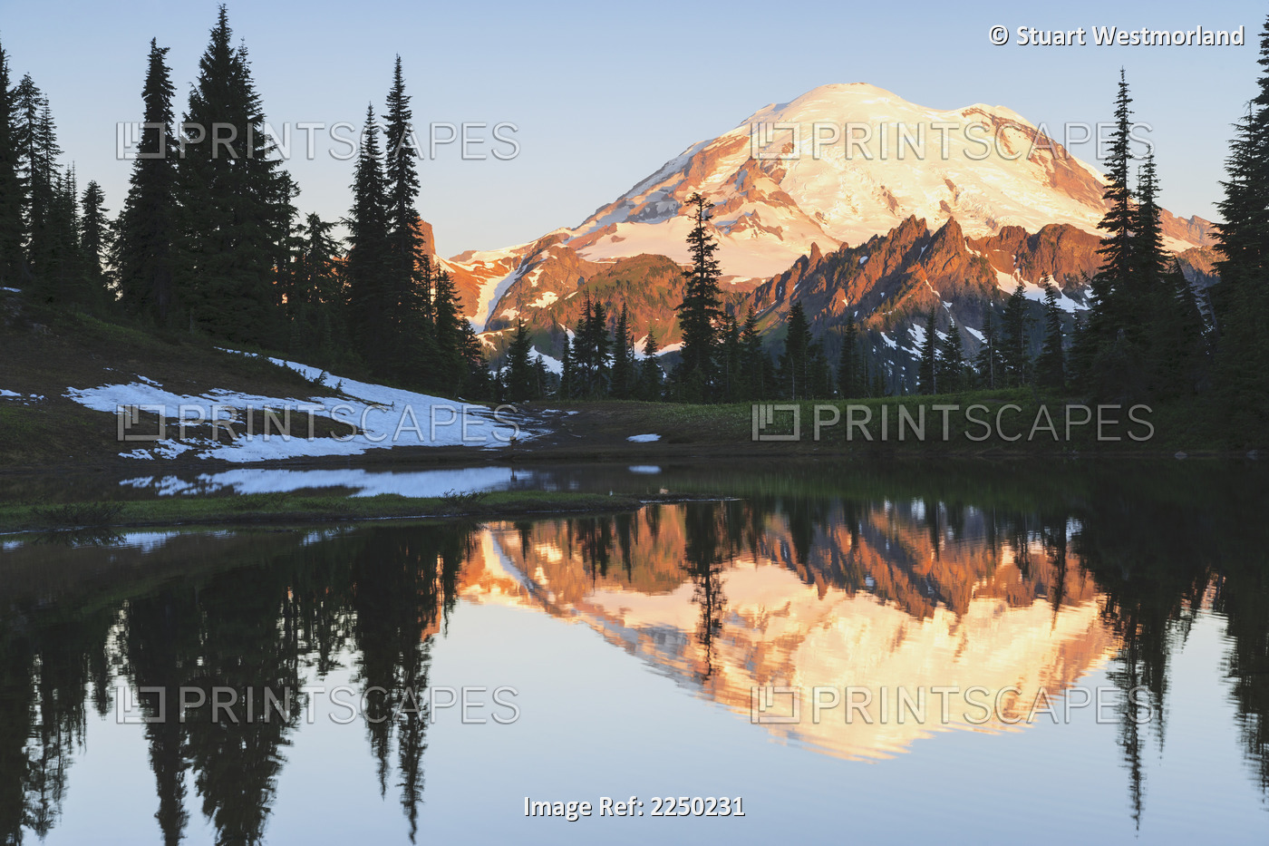 Sunrise over a small reflecting pond near tipsoo lake mount rainer national ...