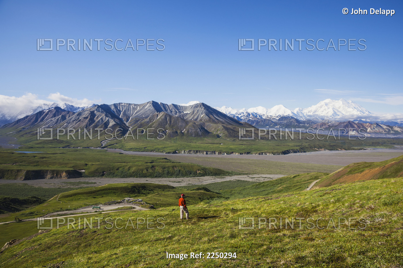 A Senior Male Hiker Stands On The Tundra On A Mountain Slope With Mt. Mckinley ...