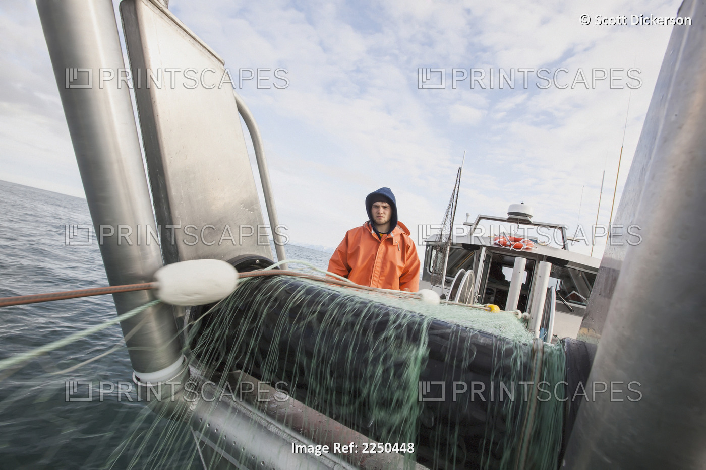 A Young Deckhand Watches And Waits For Fish As The Gillnet Is Pulled On Board ...