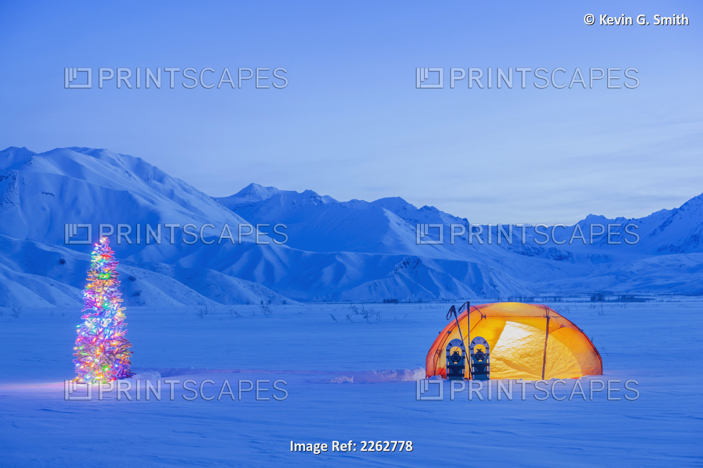 A Backpacking Tent And Snowshoes Lit Up At Dawn With A Christmas Tree Next To ...