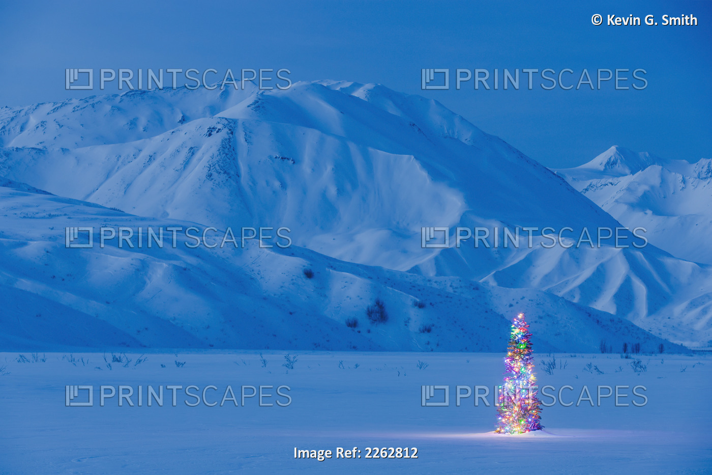 A Christmas Tree Lit Up At Twilight With The Alaska Range Behind It Winter ...