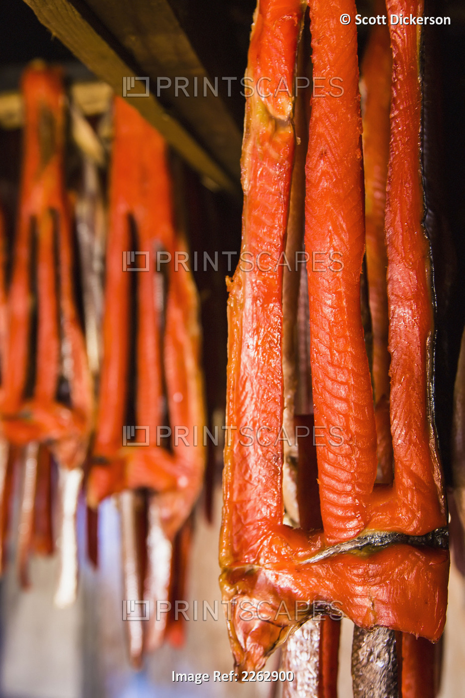 Sockeye salmon from the kvichak river that has been stripped and hung to dry ...