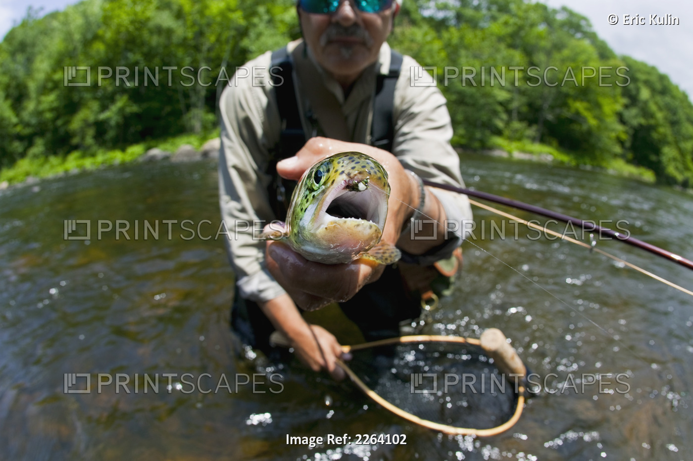 Fisherman Holding Up A Fish; Agawam Massachusetts Usa