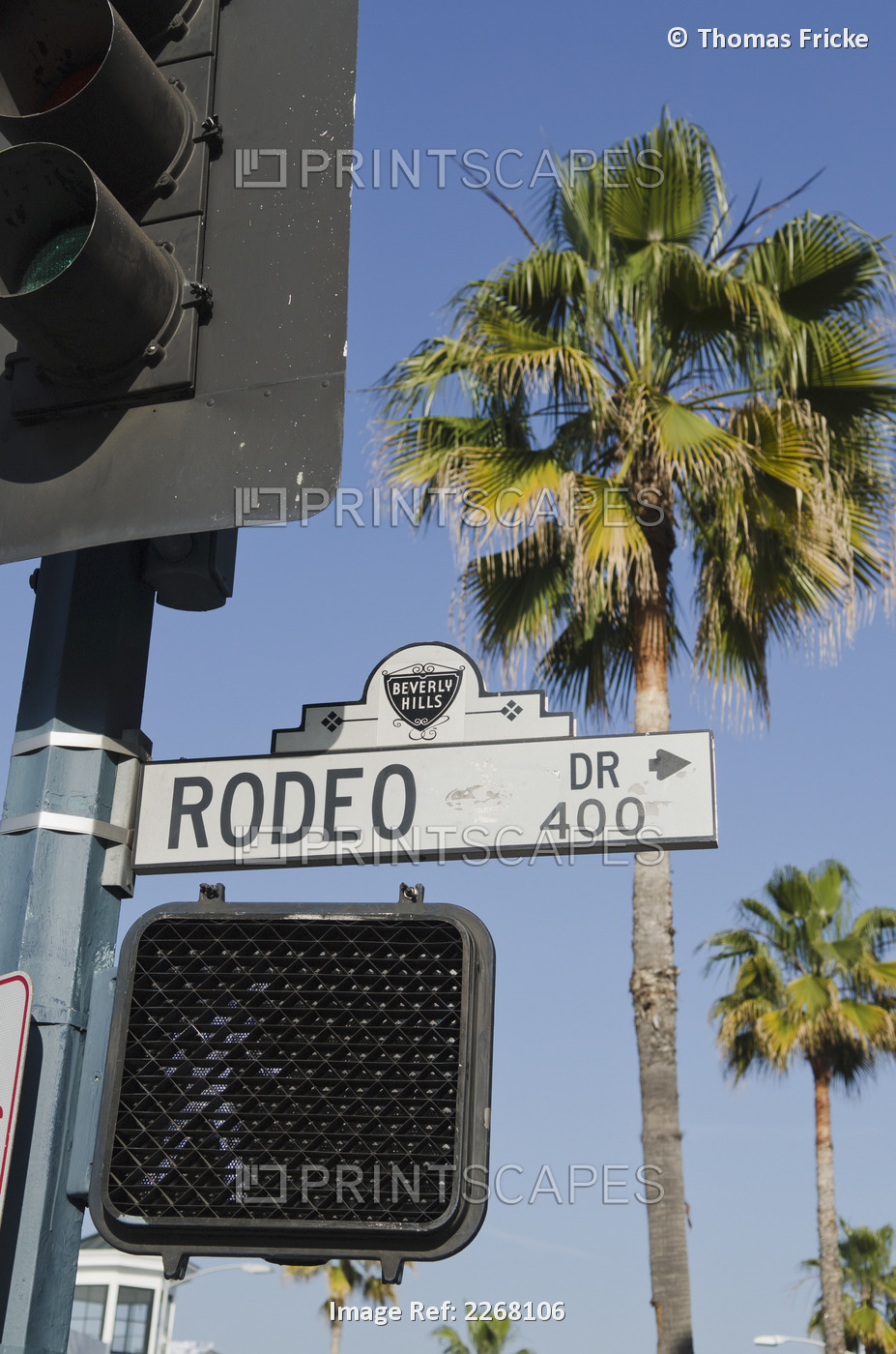 Rodeo Drive Street Sign With Palm Tree In Background; Los Angeles California ...