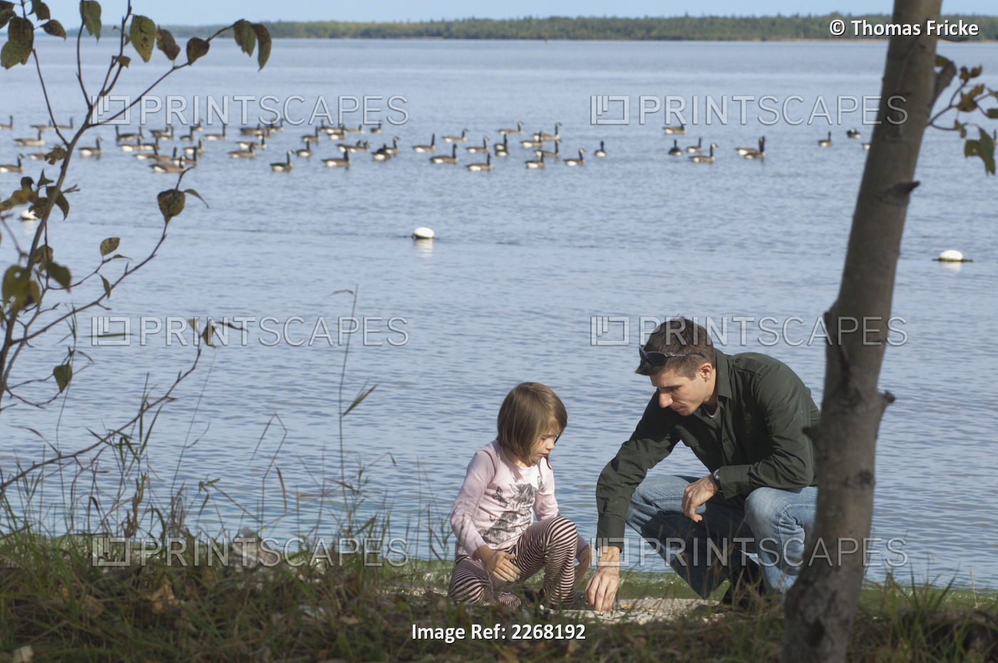 Father and daughter on the shoreline of lake winnipeg with canada geese in the ...