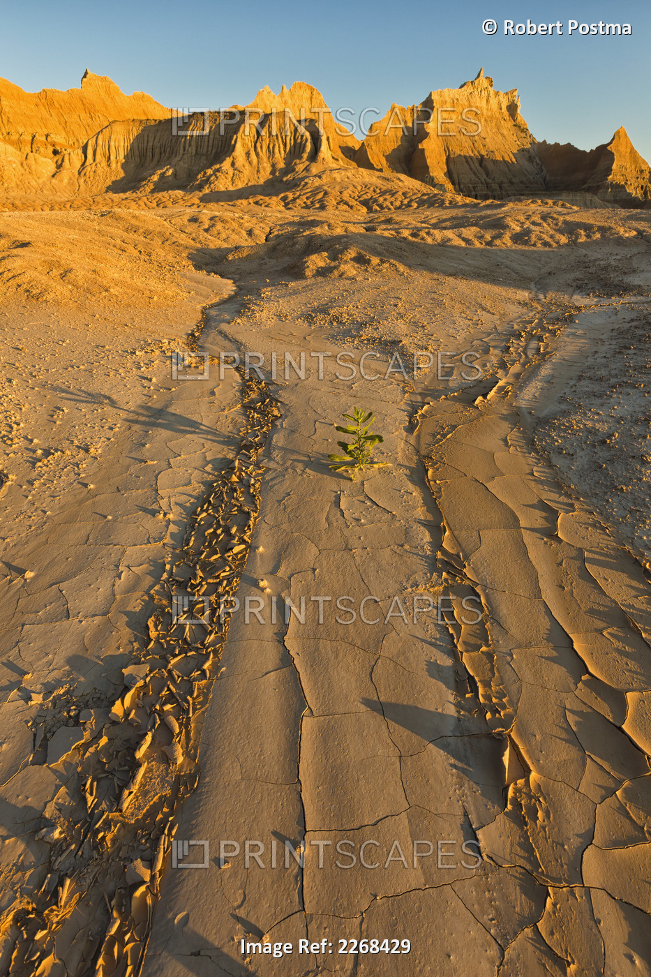 A dry stream bed leads into distance towards the eroded formations in badlands ...