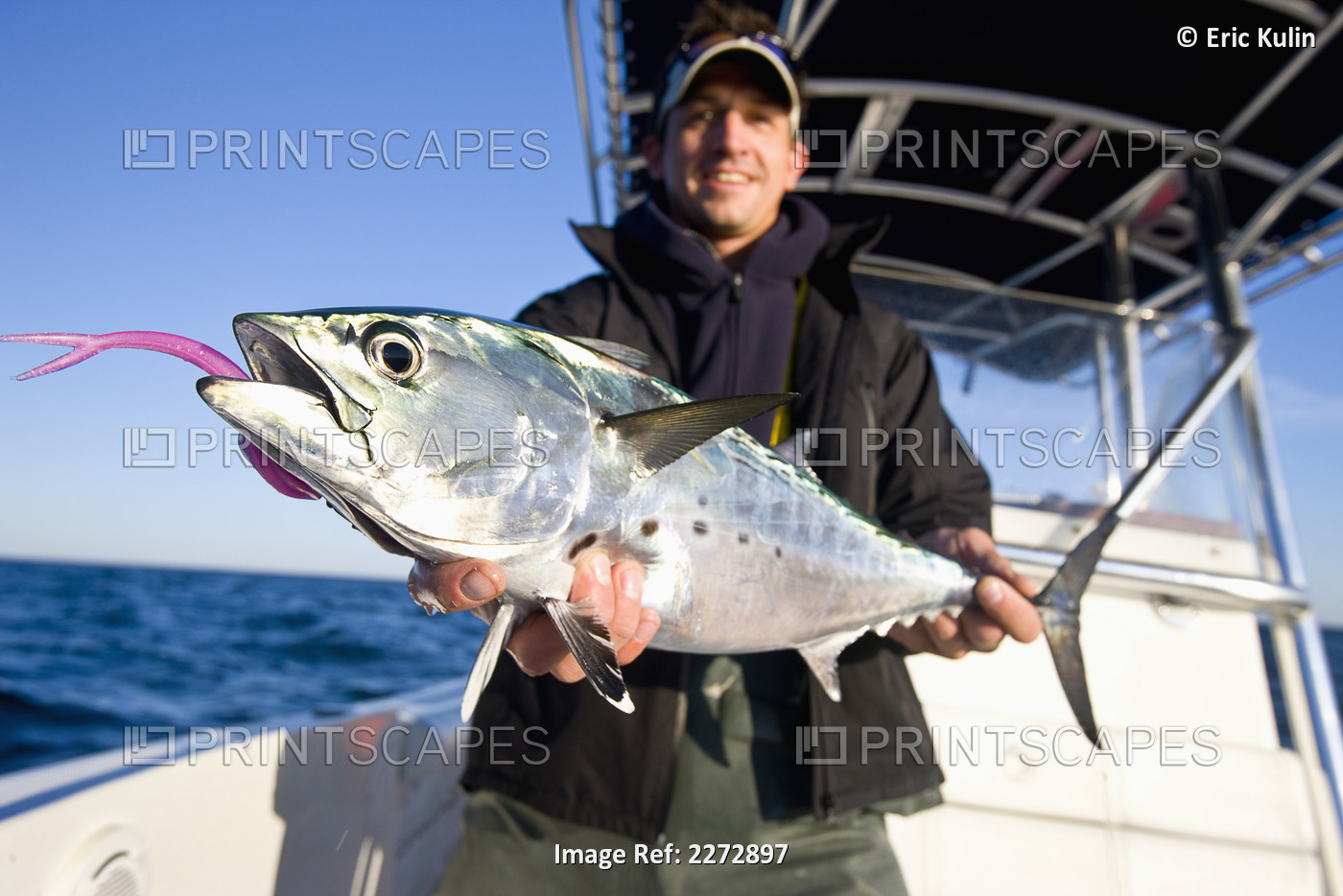 Man holding a false albacore tuna; new york usa