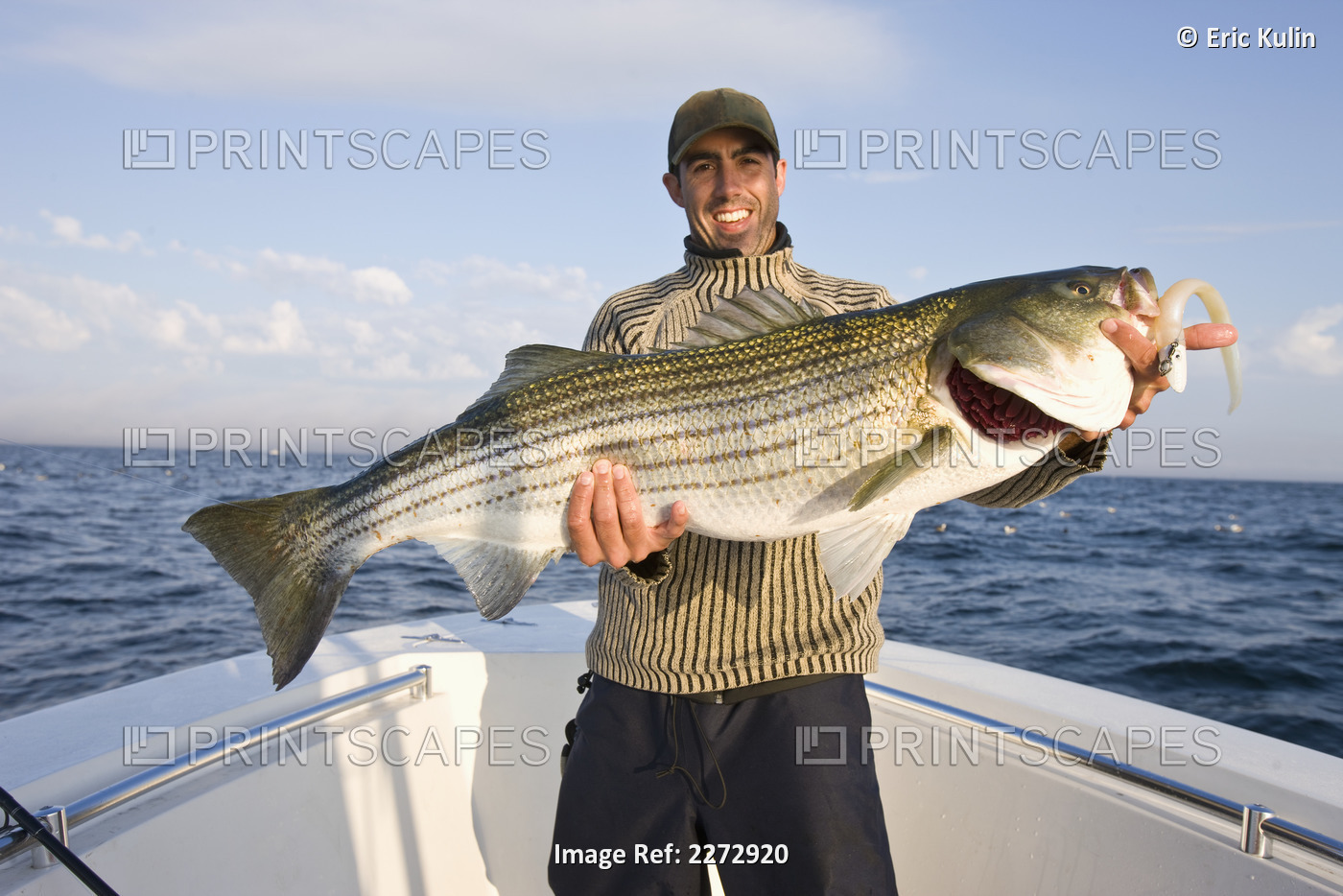 Man In A Boat Proudly Holding A Large Fish; Massachusetts, Usa