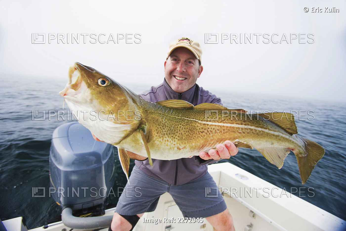 Man holding a cod fish caught in boston harbor; boston massachusetts usa