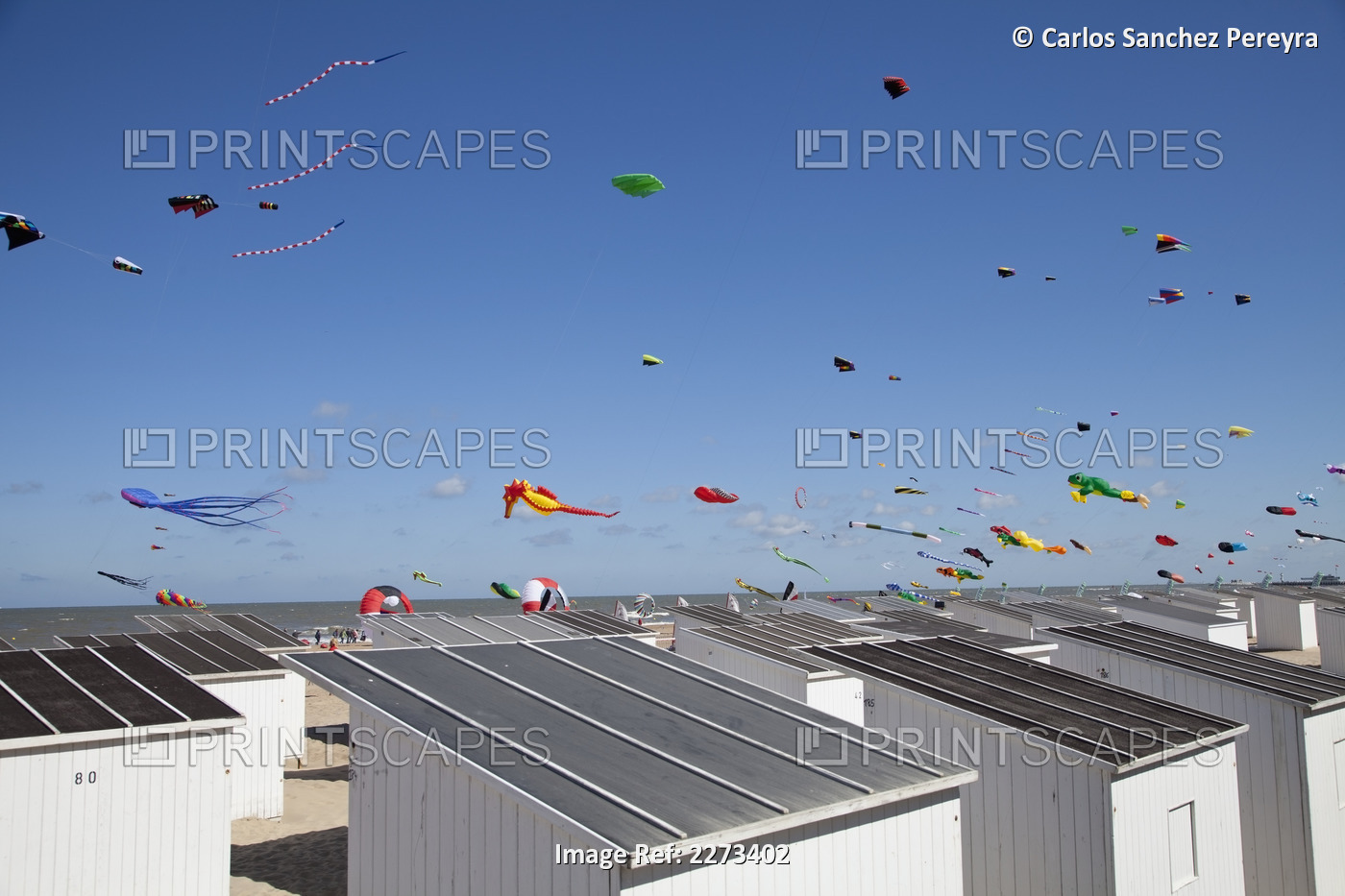 Europe, Belgium, International Kite Festival; Ostend
