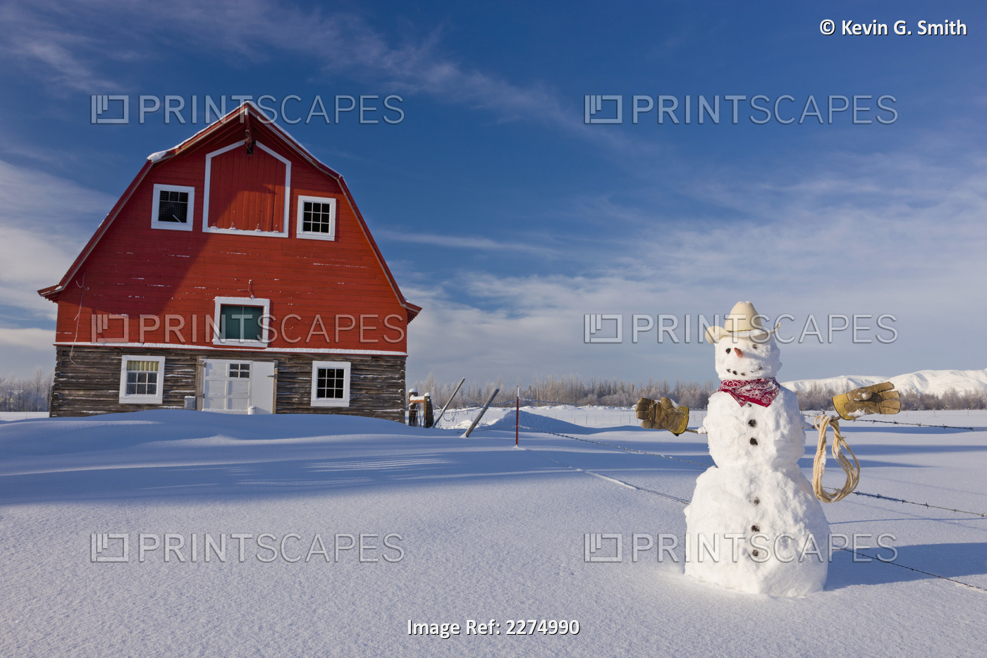 Snowman Dressed Up As A Cowboy Standing In Front Of A Vintage Red Barn In ...