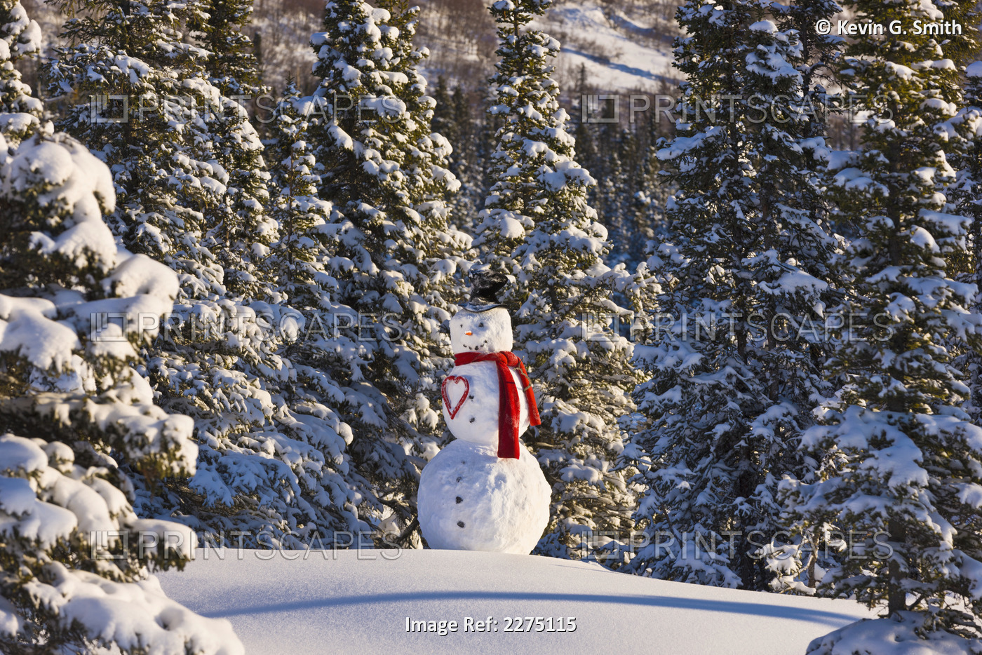 Snowman Wearing A Red Scarf And Black Top Hat Standing In Front Of A ...