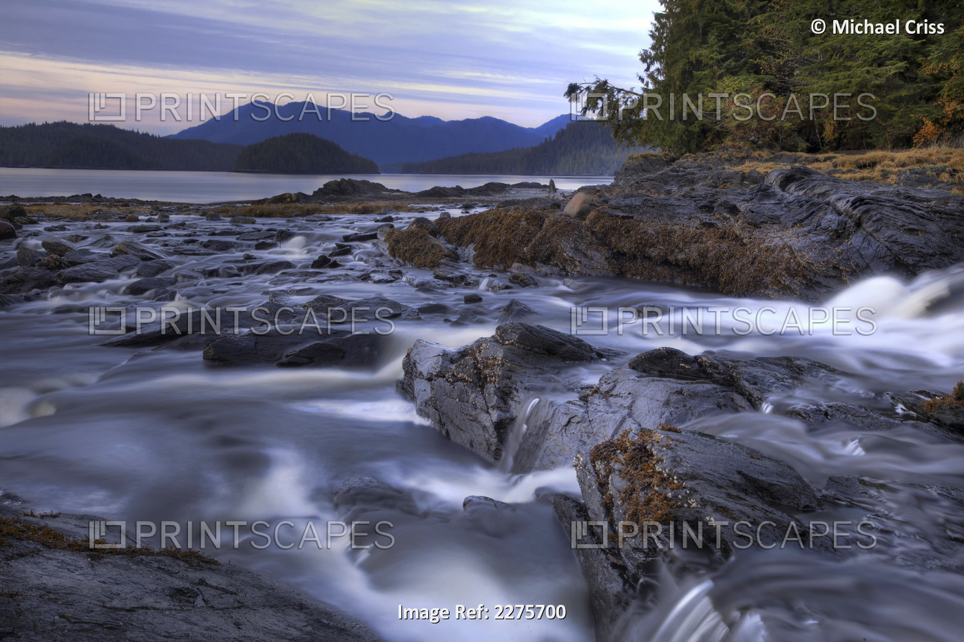 Moody View Of Lunch Creek North Of Ketchikan, Southeast Alaska, Autumn, Hdr