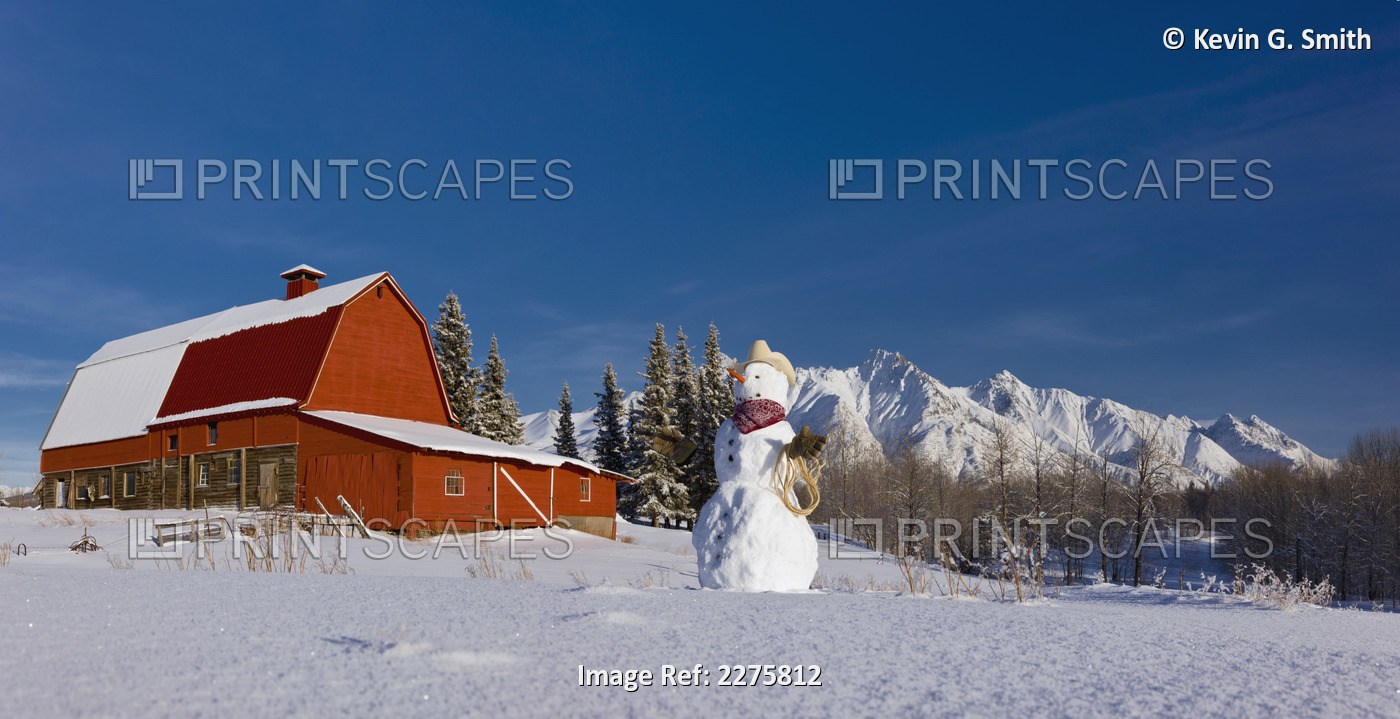 Snowman Dressed Up As A Cowboy Standing In Front Of A Vintage Red Barn, Palmer, ...