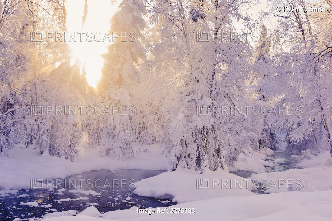 Small stream in a hoar frost covered forest with rays of sun filtering through ...