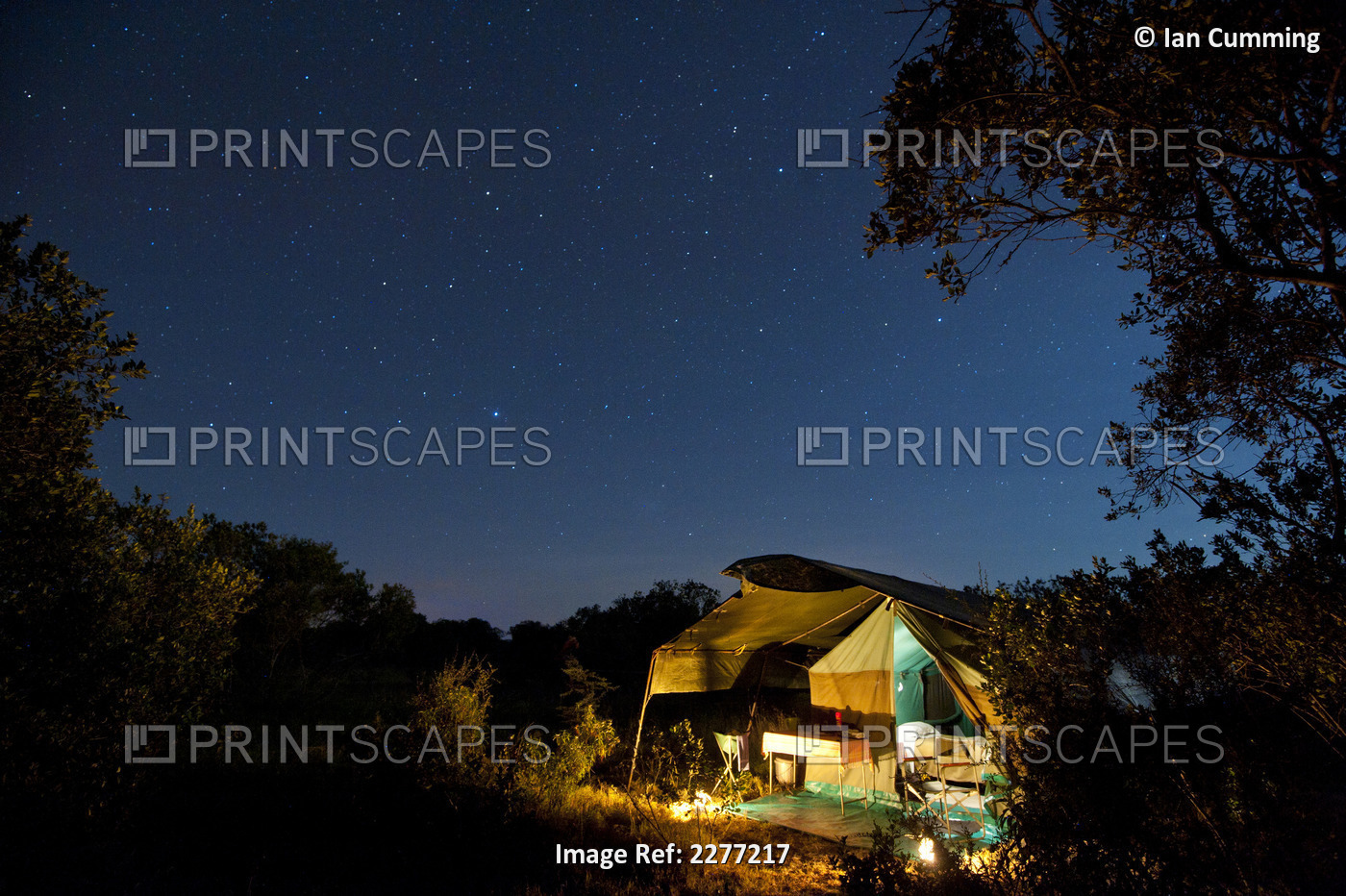 Safari Tent Under A Starry Sky At Night, Ol Pejeta Conservancy; Kenya