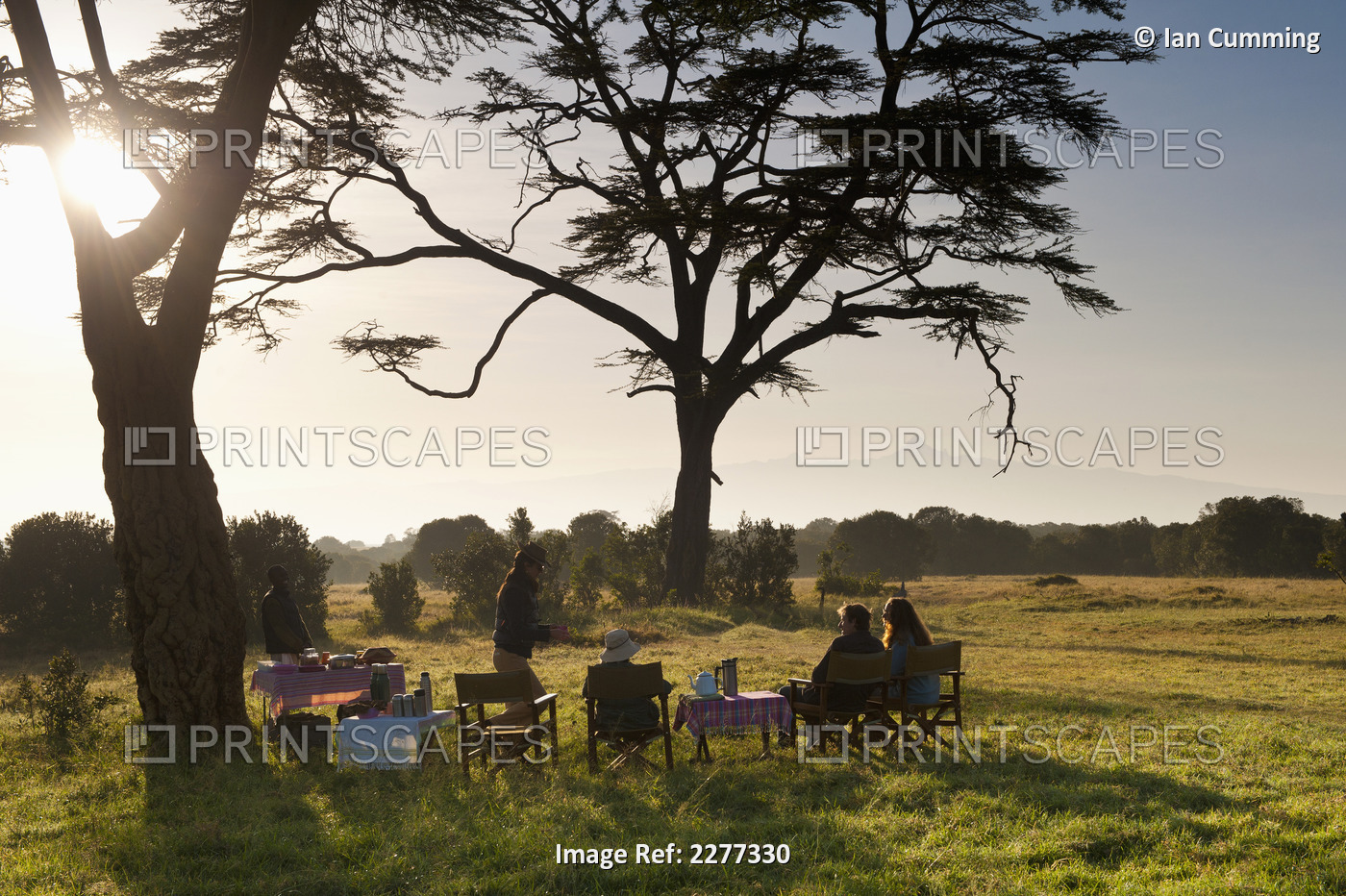 Bush Breakfast Under Large Acacia Tree With Mt Kenya In The Distance, Ol Pejeta ...