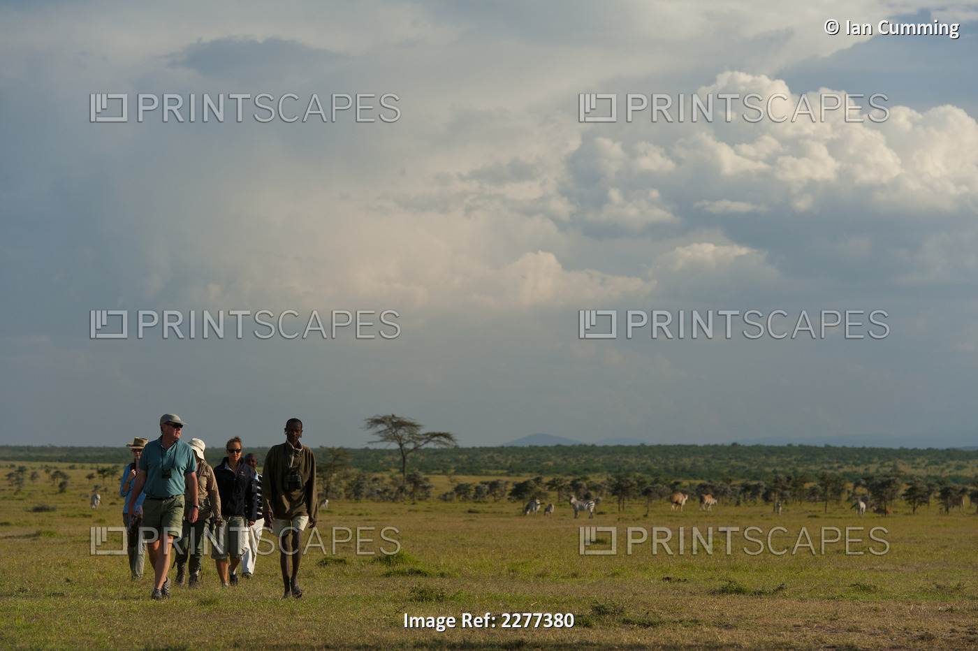 People On Walking Safari With Zebra And Eland In The Background, Ol Pejeta ...