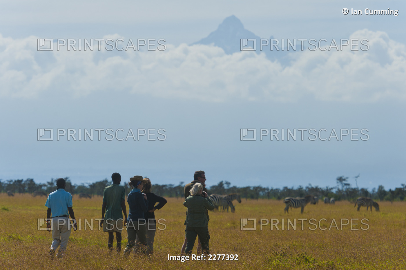 Tourists With Guide On Walking Safari With Zebra And Mt Kenya Behind, Ol Pejeta ...