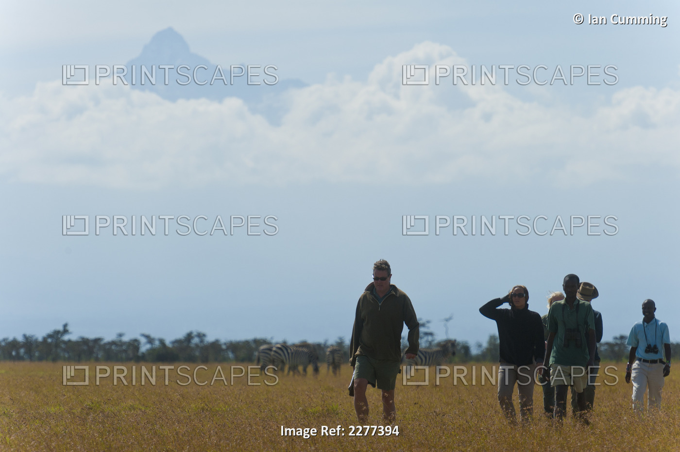 Tourists With Guide On Walking Safari With Zebra And Mt Kenya Behind, Ol Pejeta ...