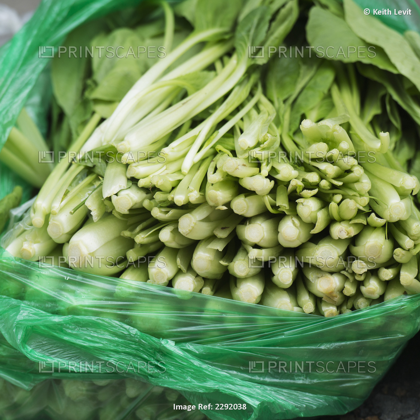 Fresh leafy vegetable in a bag; Lhasa xizang china