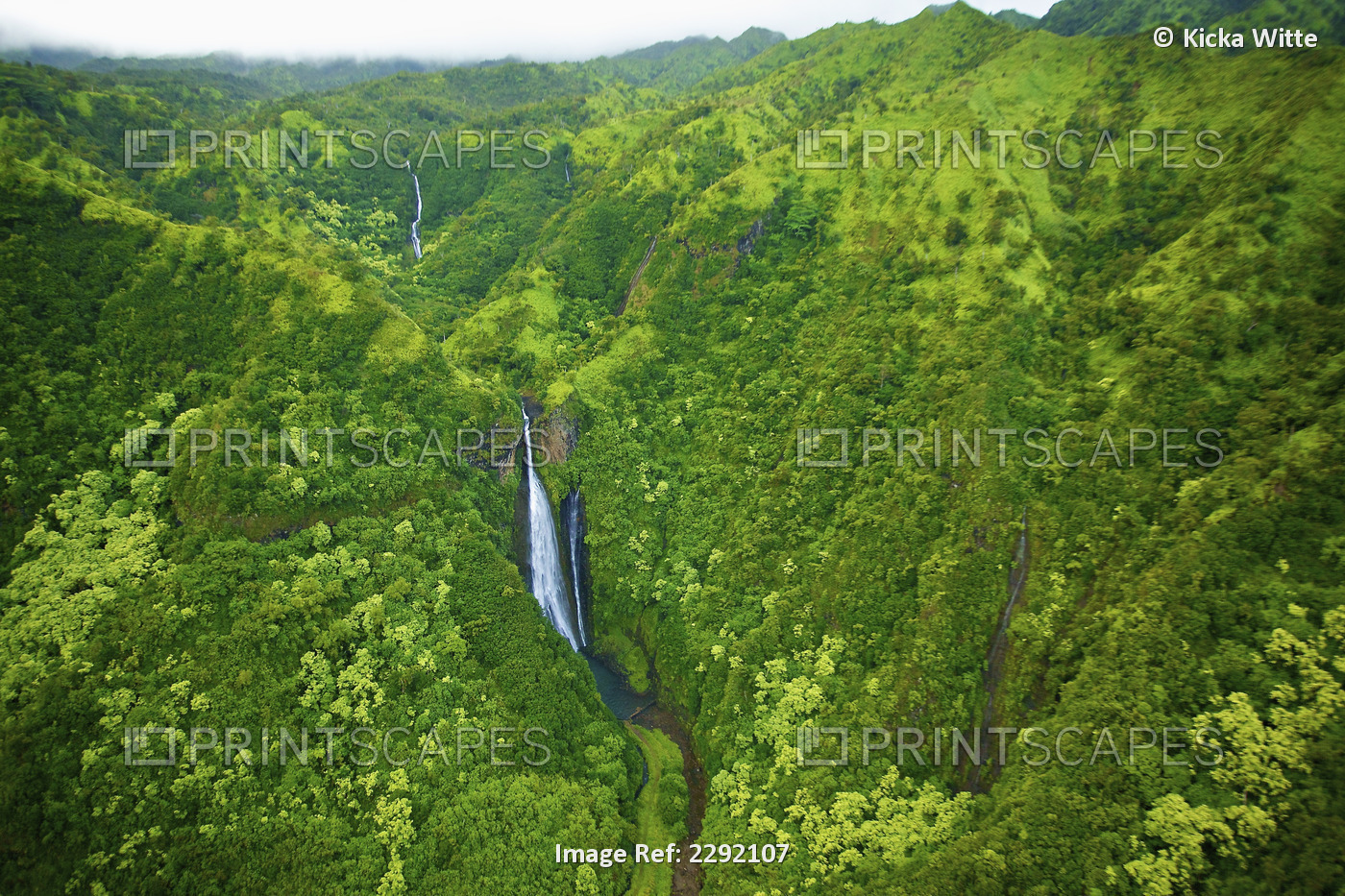 A stream flowing through the mountains covered with lush green trees; Hawaii ...