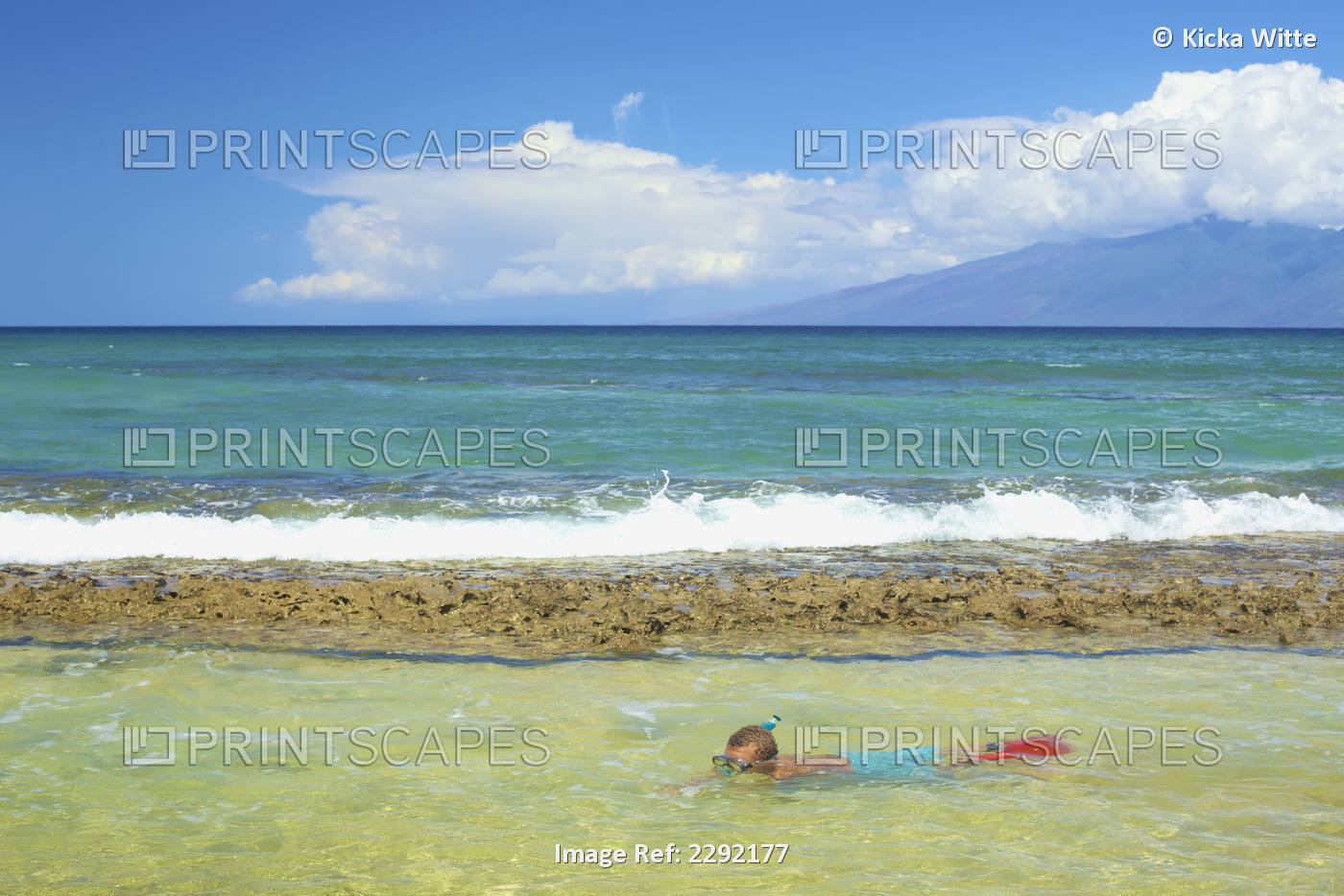 A young boy snorkelling in the shallow water at the ocean; Hawaii united states ...