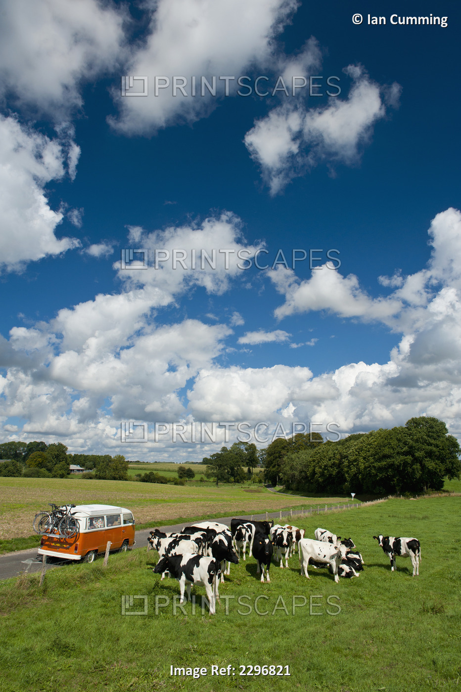 France, near Le Havre; Normandy, Camper van parked beside field of cows