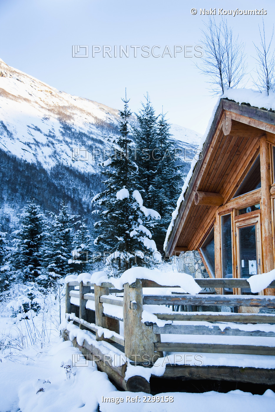 Norway, Sognefjord, winter wonderland; Ortnevik, Alpine Log cabin in snow, Pine ...