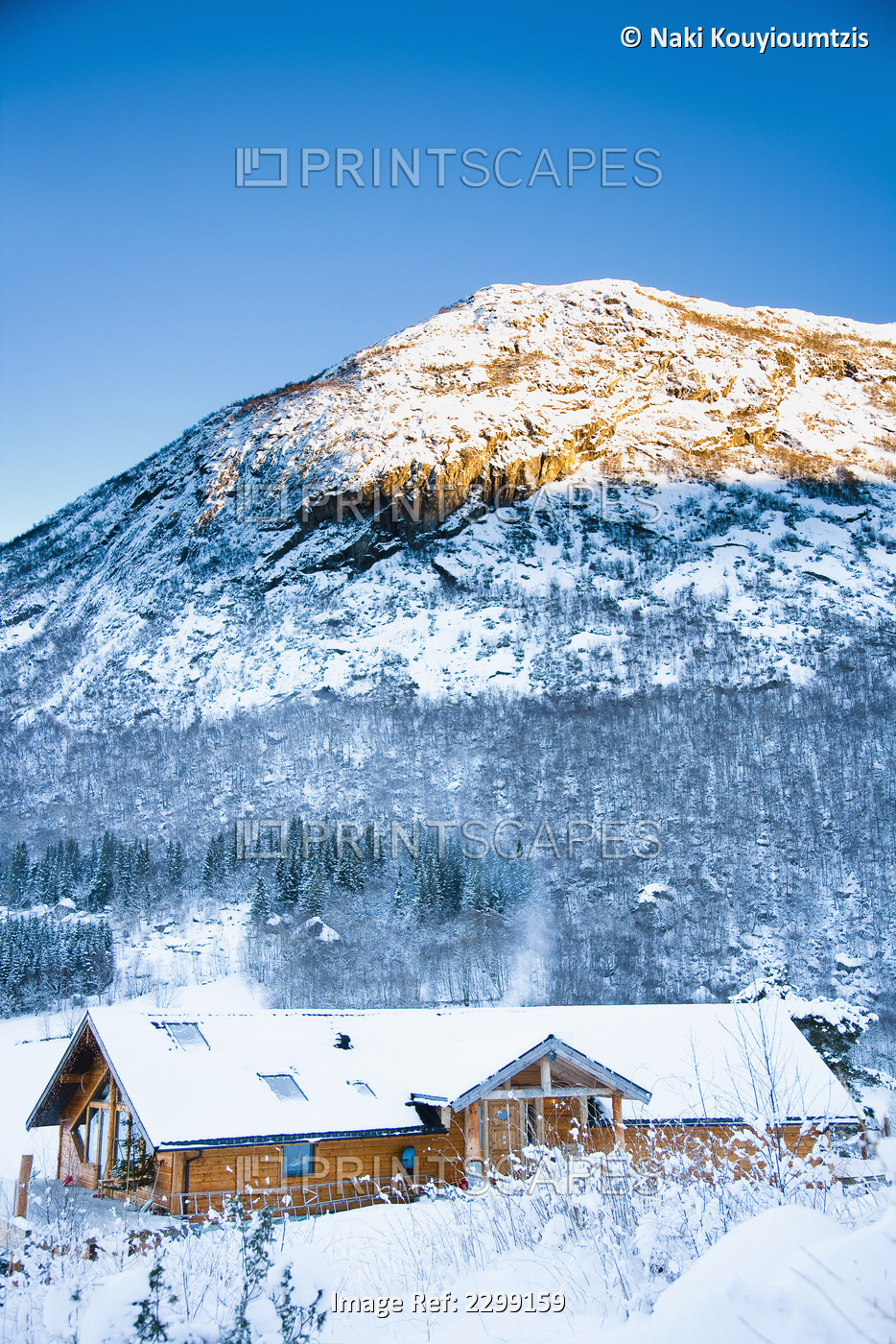 Norway, Sognefjord, winter wonderland; Ortnevik, Alpine Log cabin in snow, Pine ...