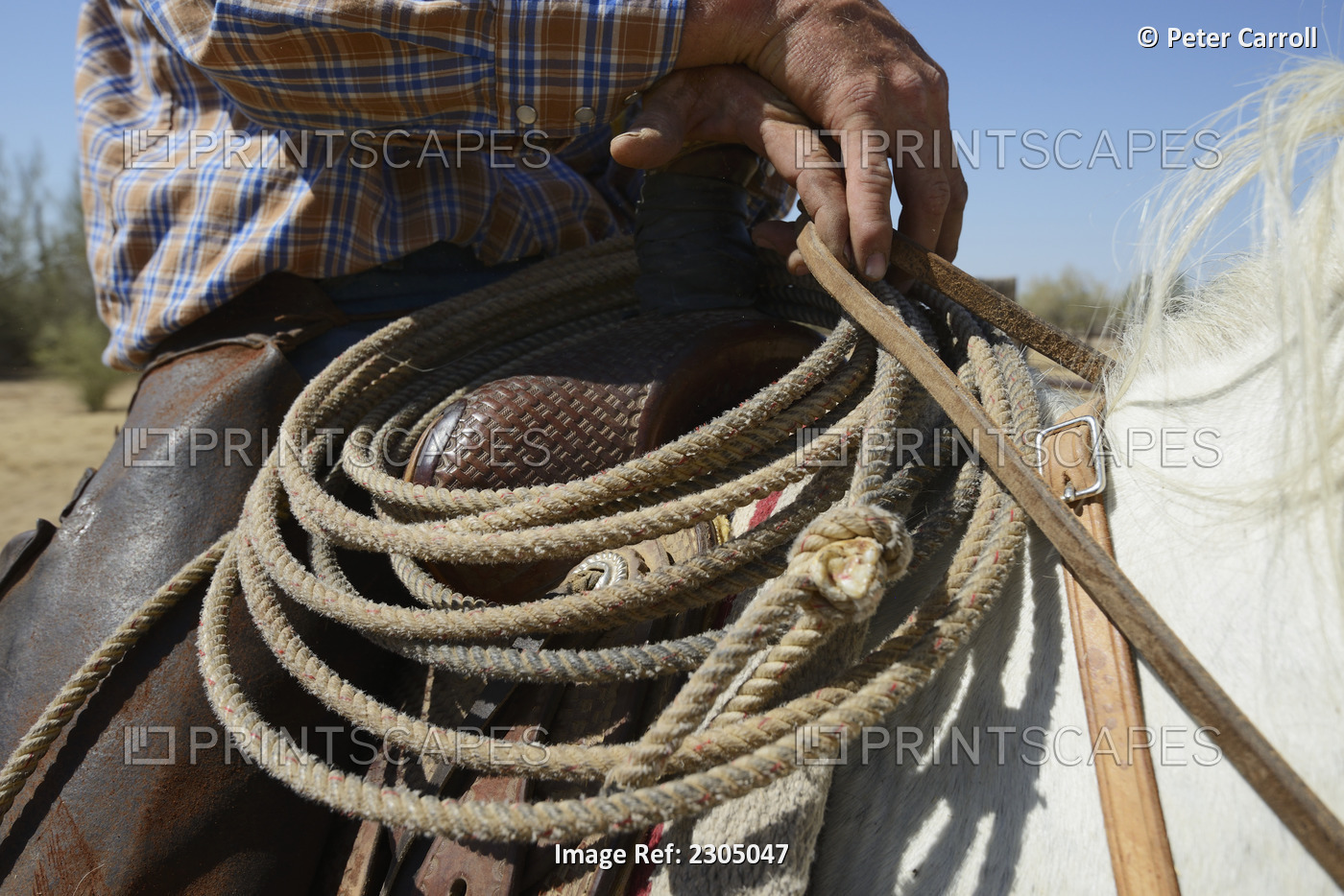 Close-Up Of Cowboy His Rope And His Horse; Arizona Usa