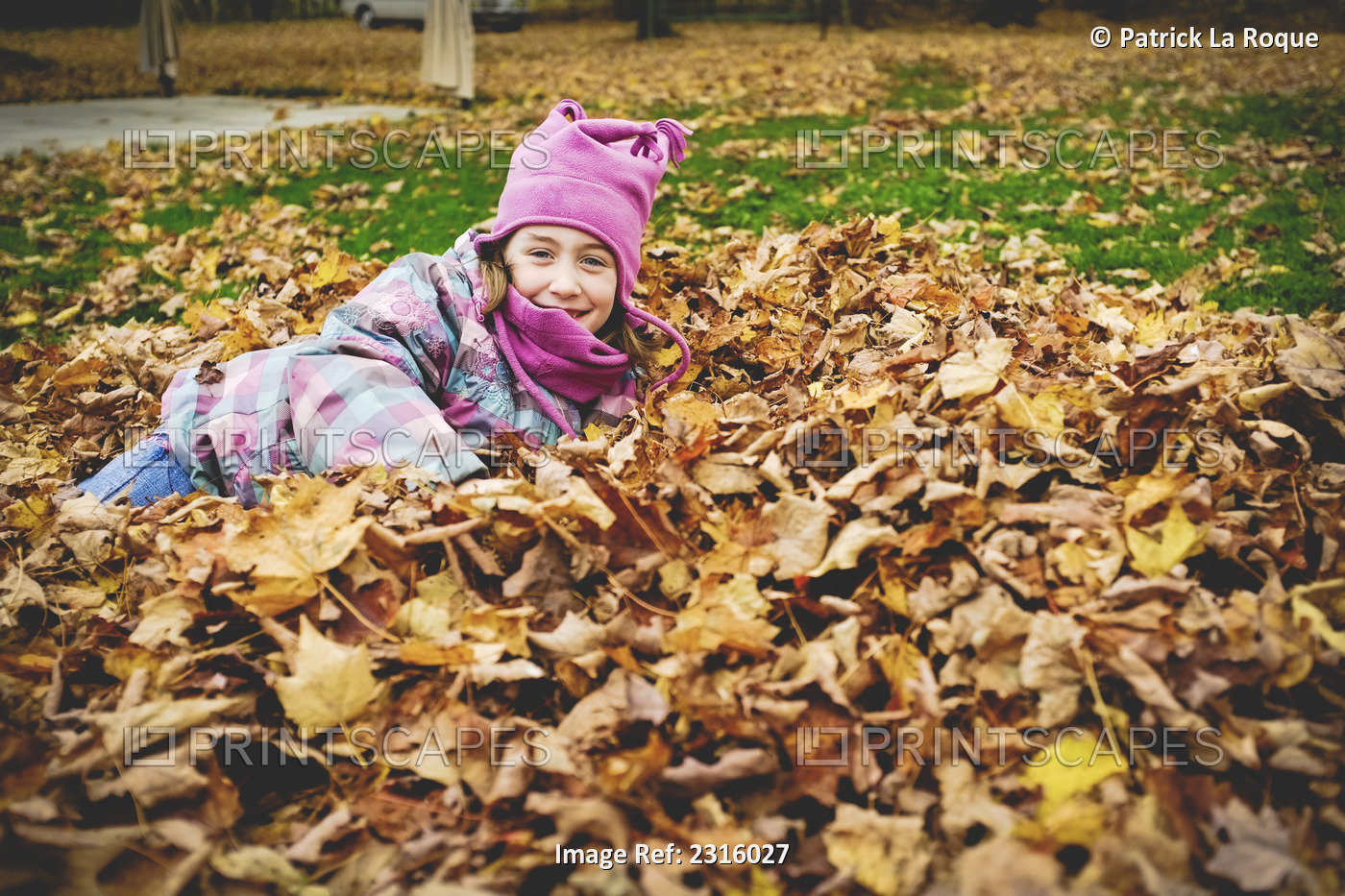 Young Girl In Pink Hat And Scarf Lying In A Pile Of Autumn Leaves; Maricourt ...