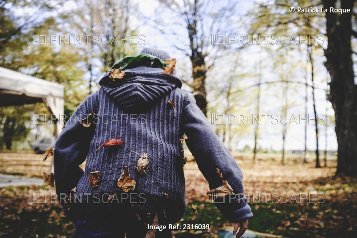 Boy In Wool Sweater Running Away With Leaves Stuck To His Back; Maricourt ...