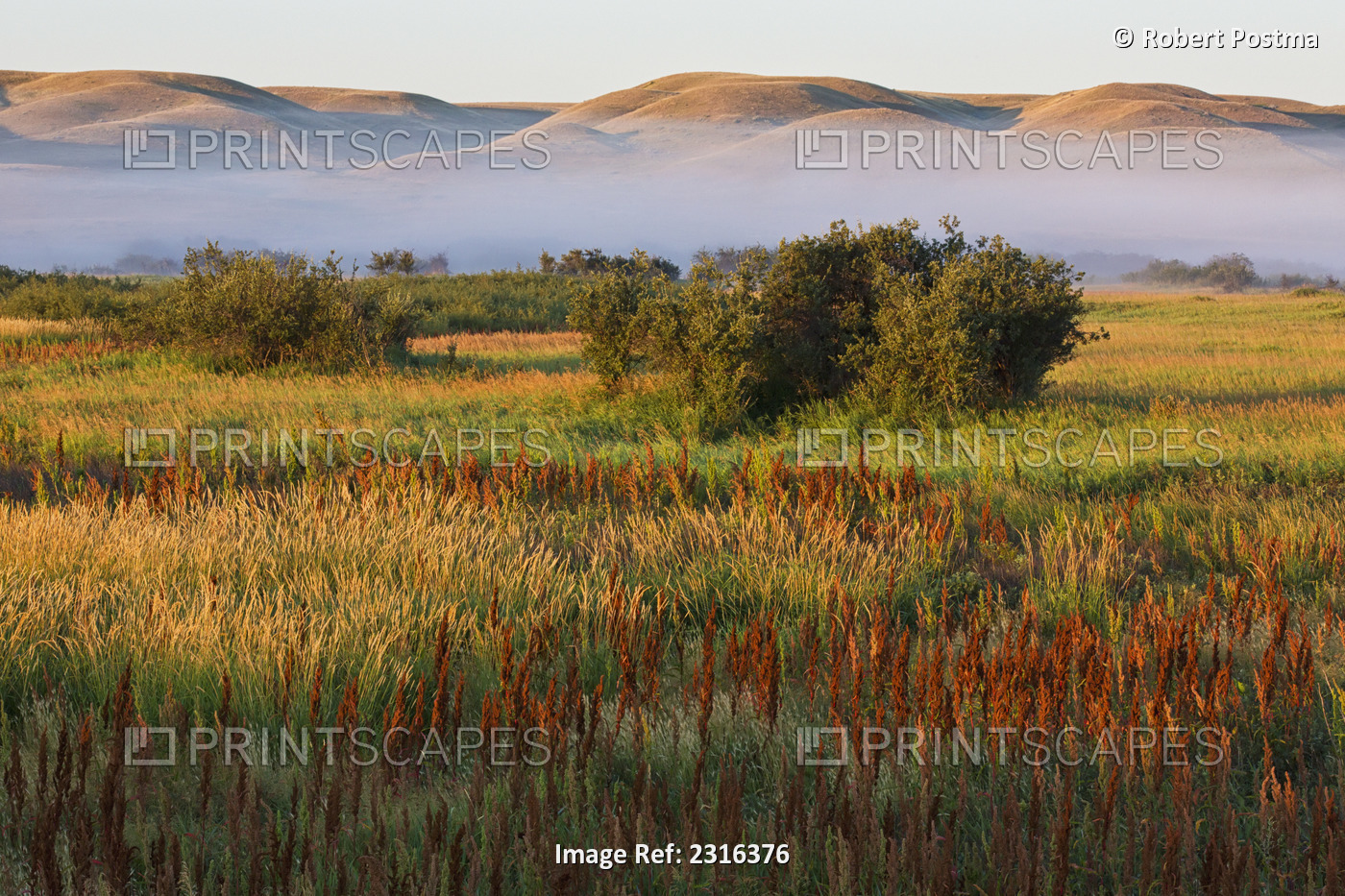 Mist At Sunrise In Frenchman River Valley Of Grasslands National ...