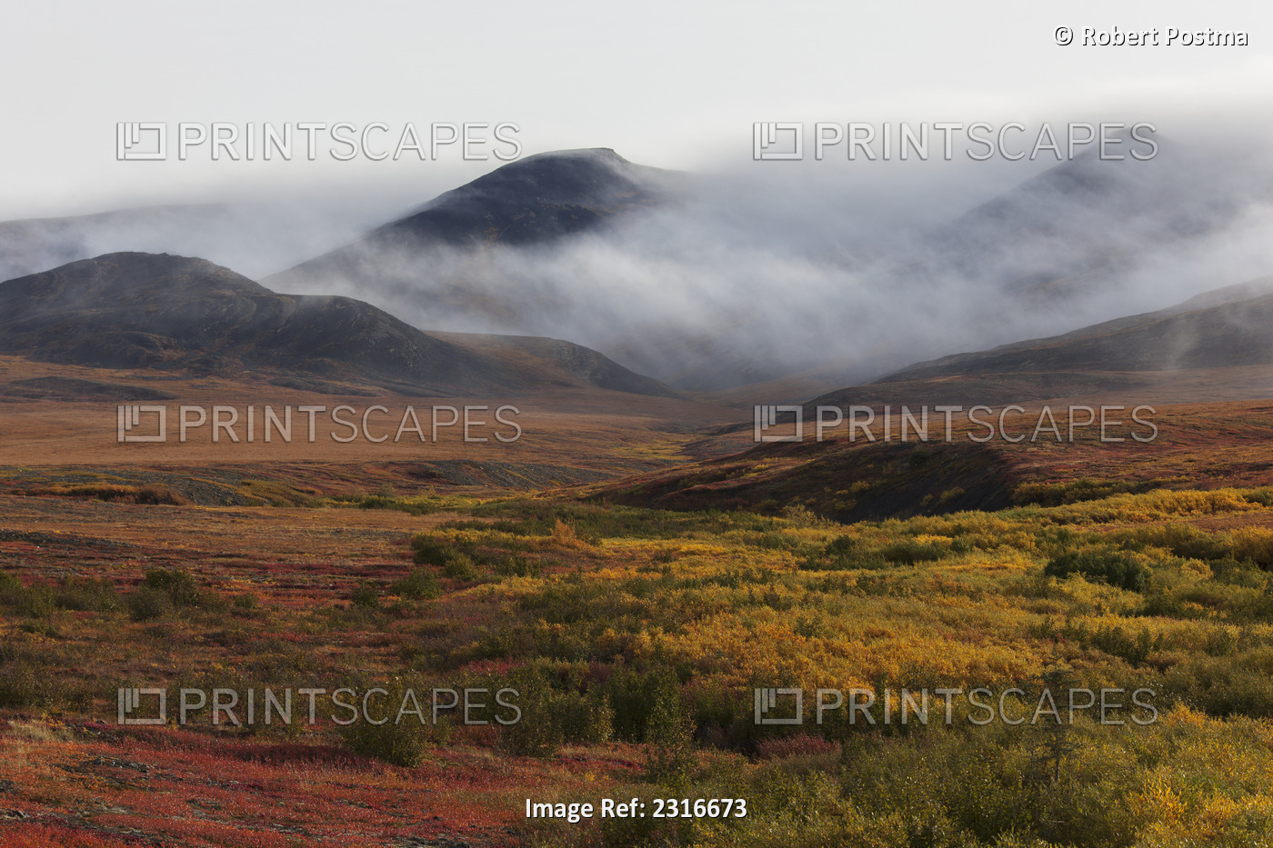 Morning Mist Rolls Over The Richardson Mountains Along The Dempster Highway; ...
