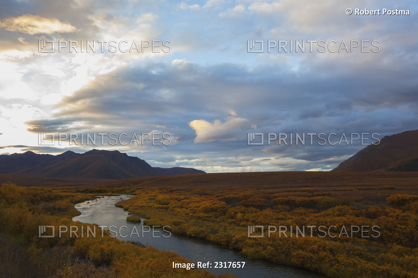 The blackstone river flows through the colourful tundra at sunset along the ...