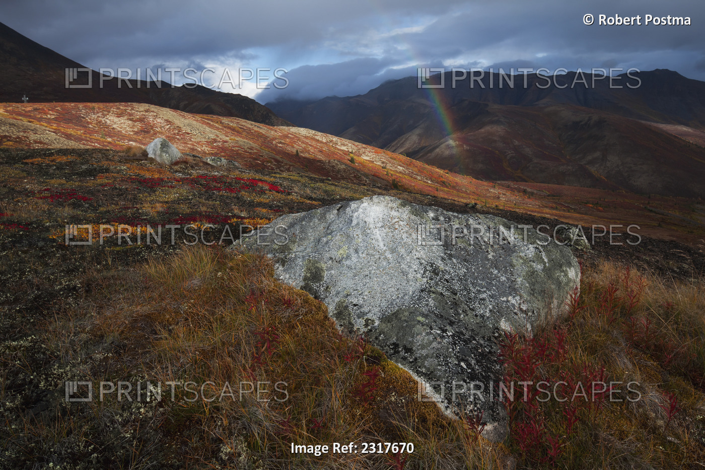 A rainbow appears during a rainshower in tombstone territorial park in autumn; ...