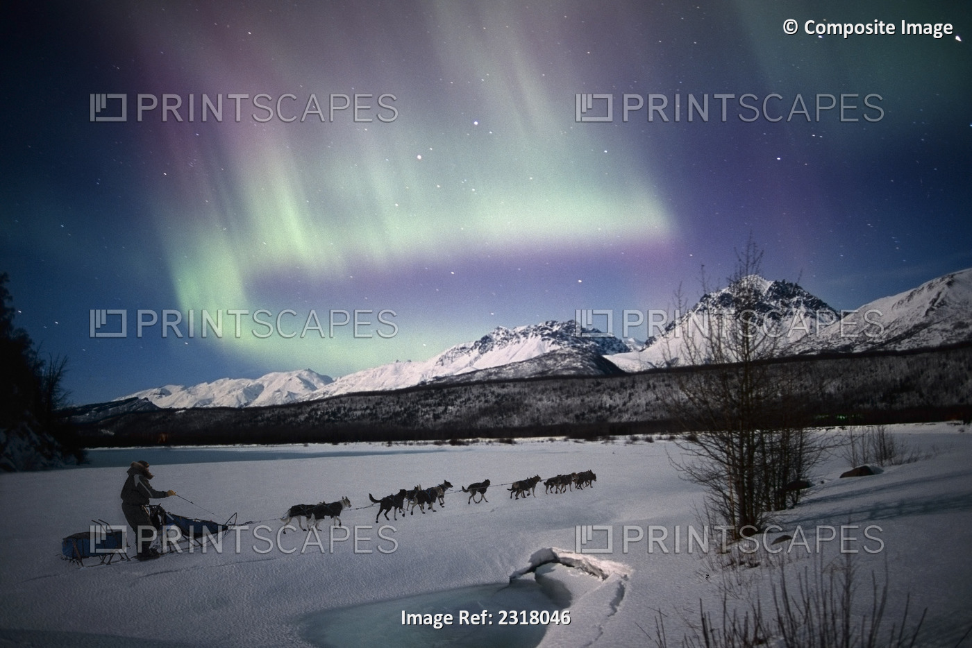 Scenic View Of Dog Team Mushing On The Matanuska River With Northern Lights ...