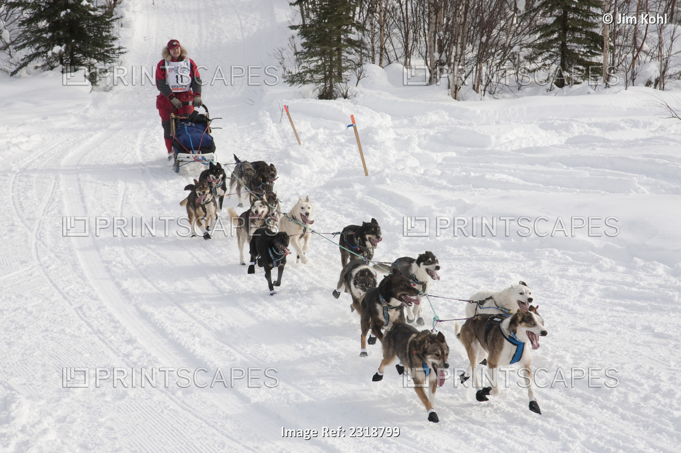 Michael Suprenant At The Restart Of The 2009 Iditarod In Willow Alaska